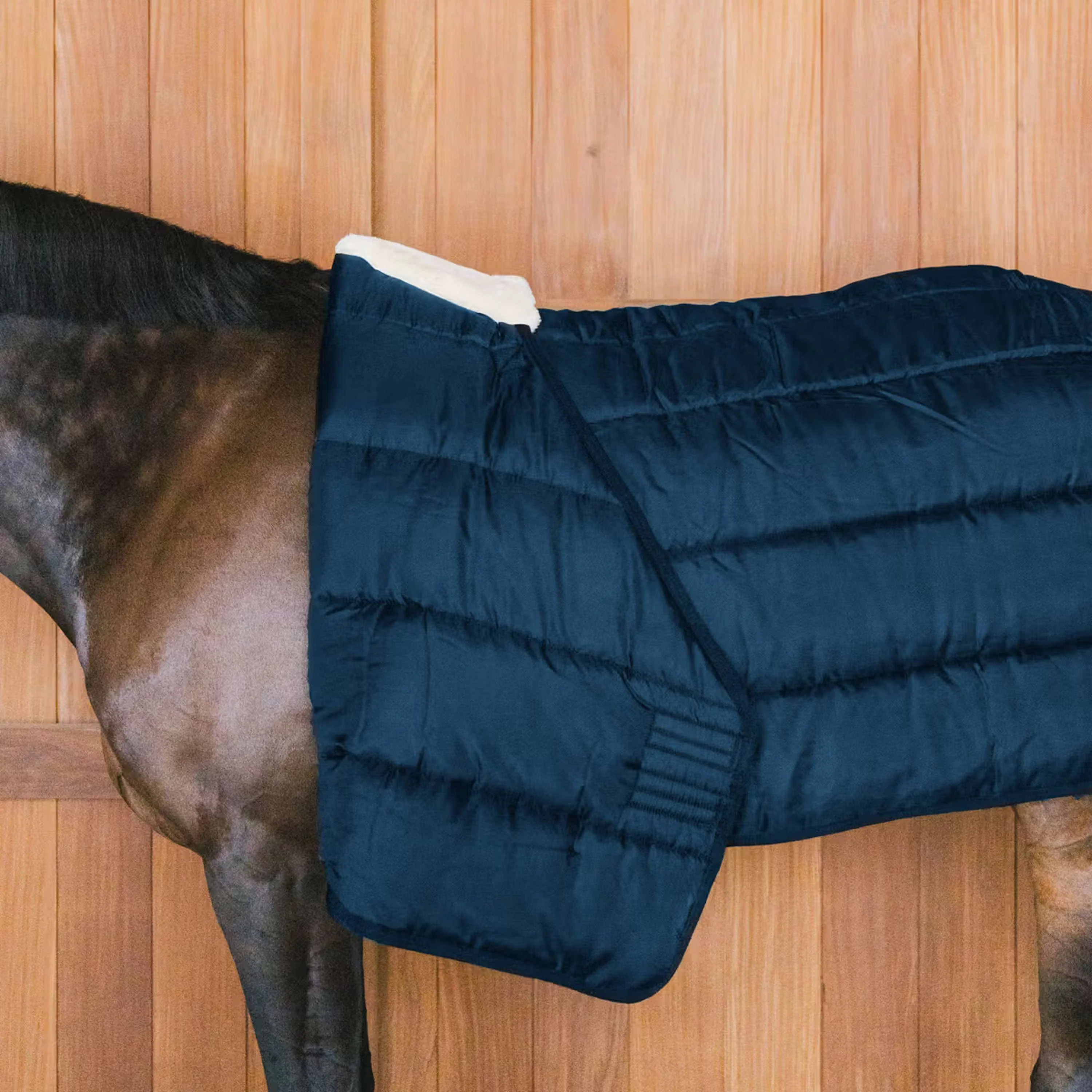 Kentucky Turnout Rug Comfort Liner 200g Navy - Image 2
