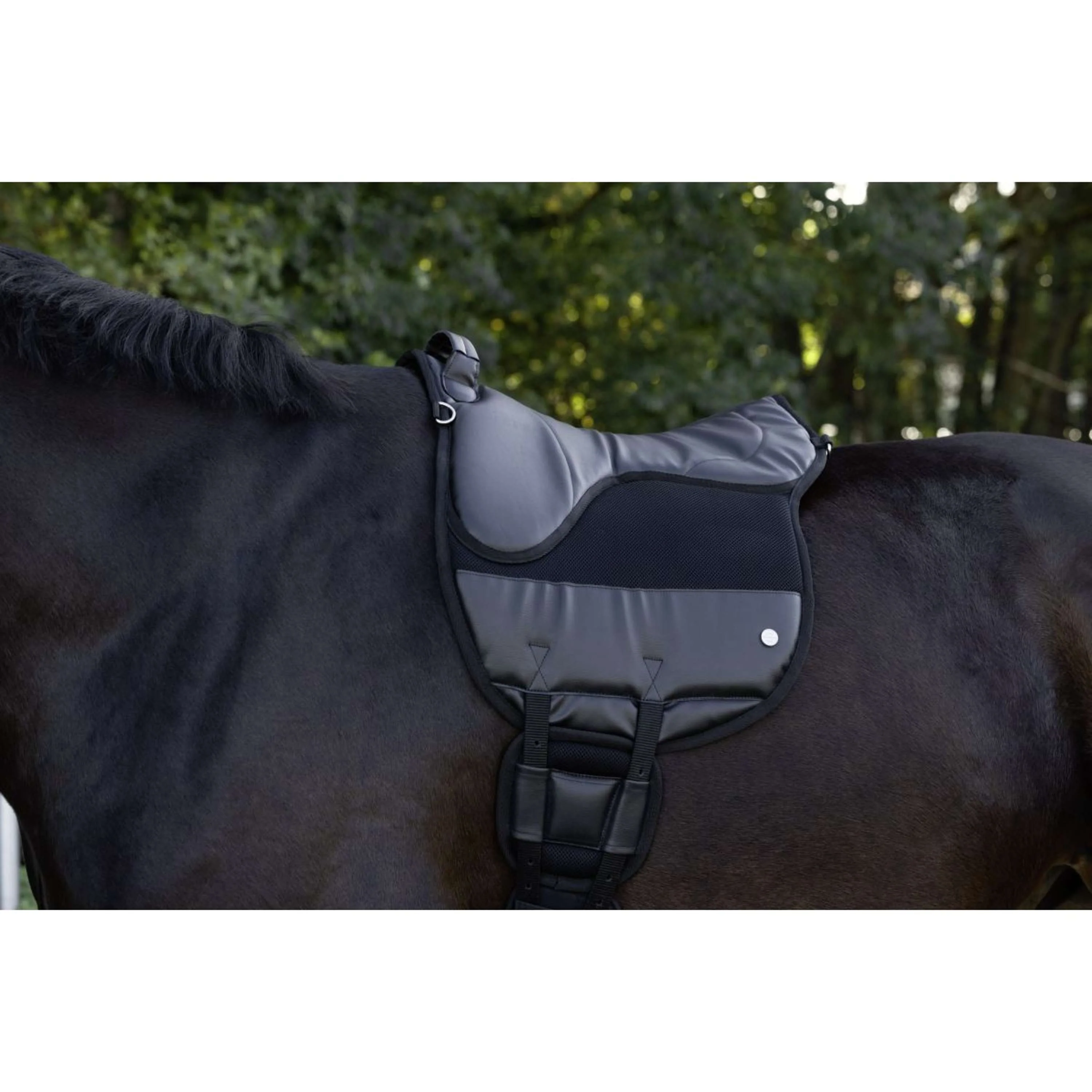 Kerbl Bareback Pad Airide Schwarz - Image 2