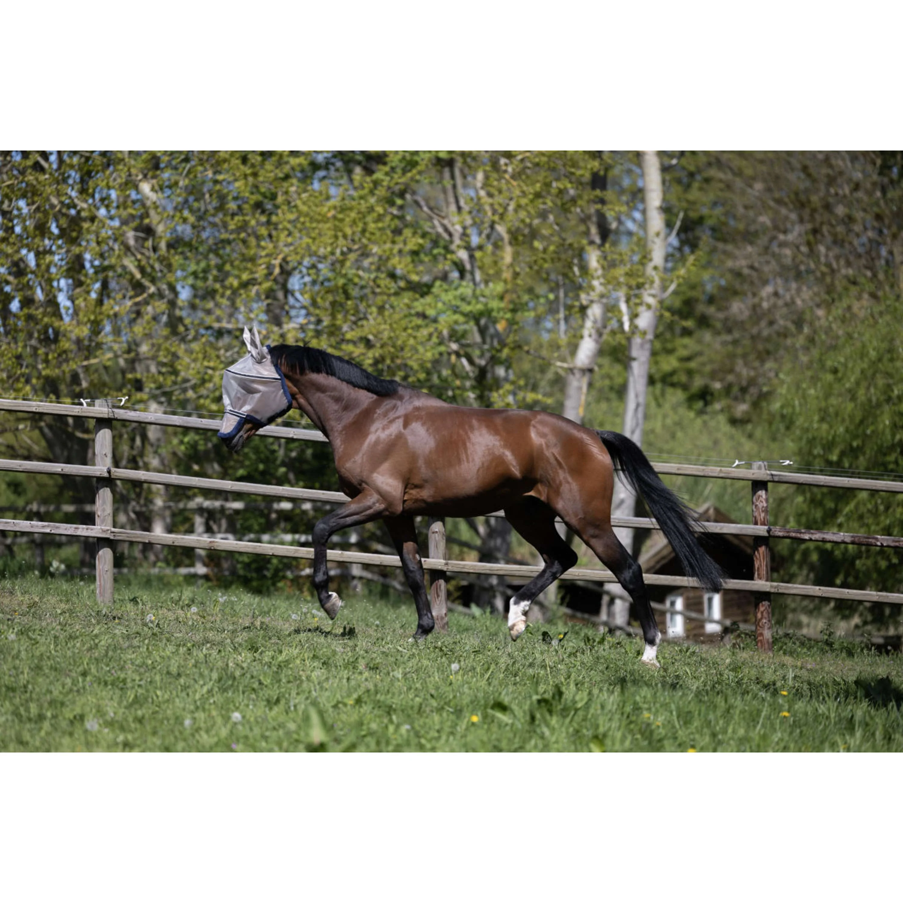 Kingsland Fliegenmaske KLLando mit Ohren Rainy Day - Image 6