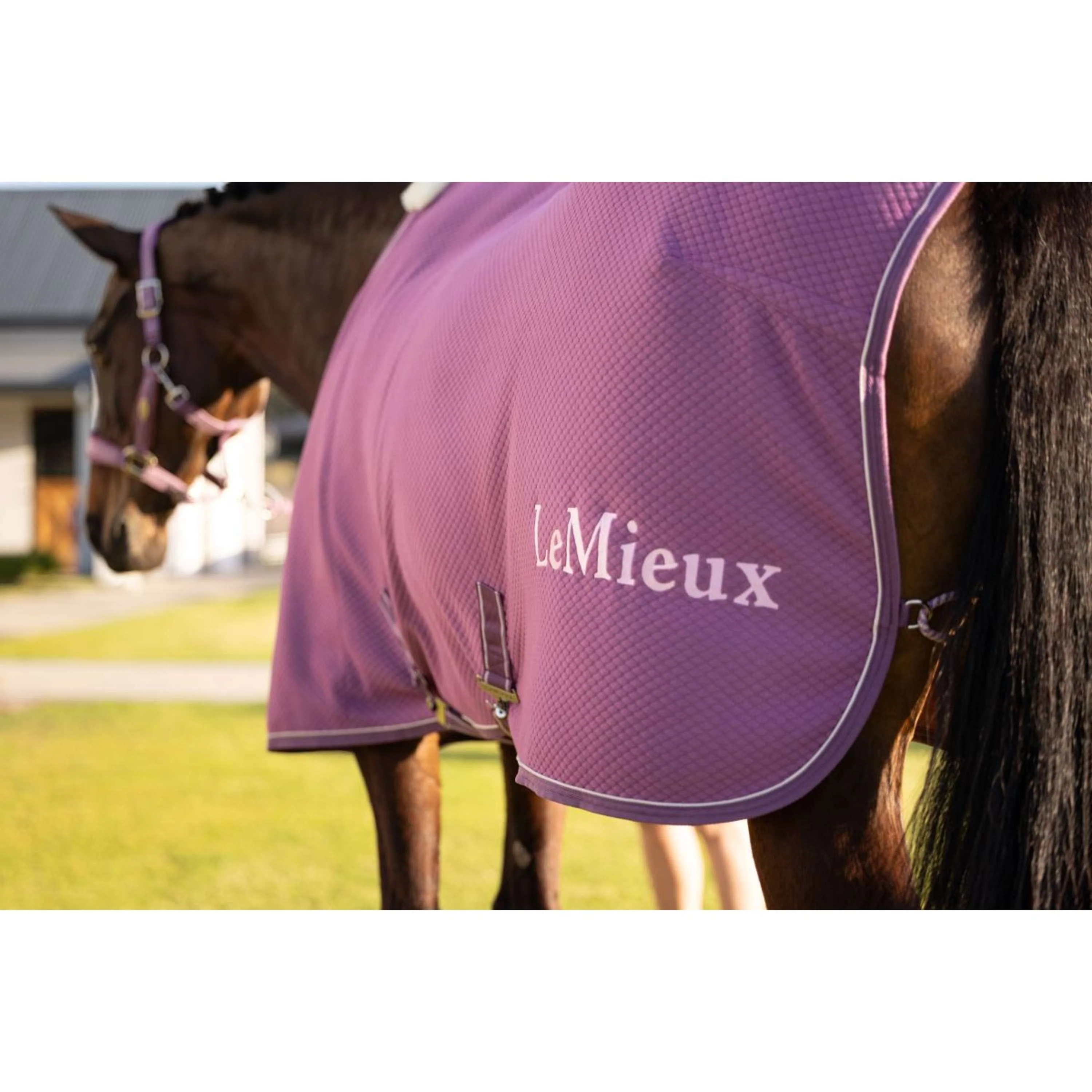 LeMieux Cooler Kudos Bamboo Mallow - Image 10