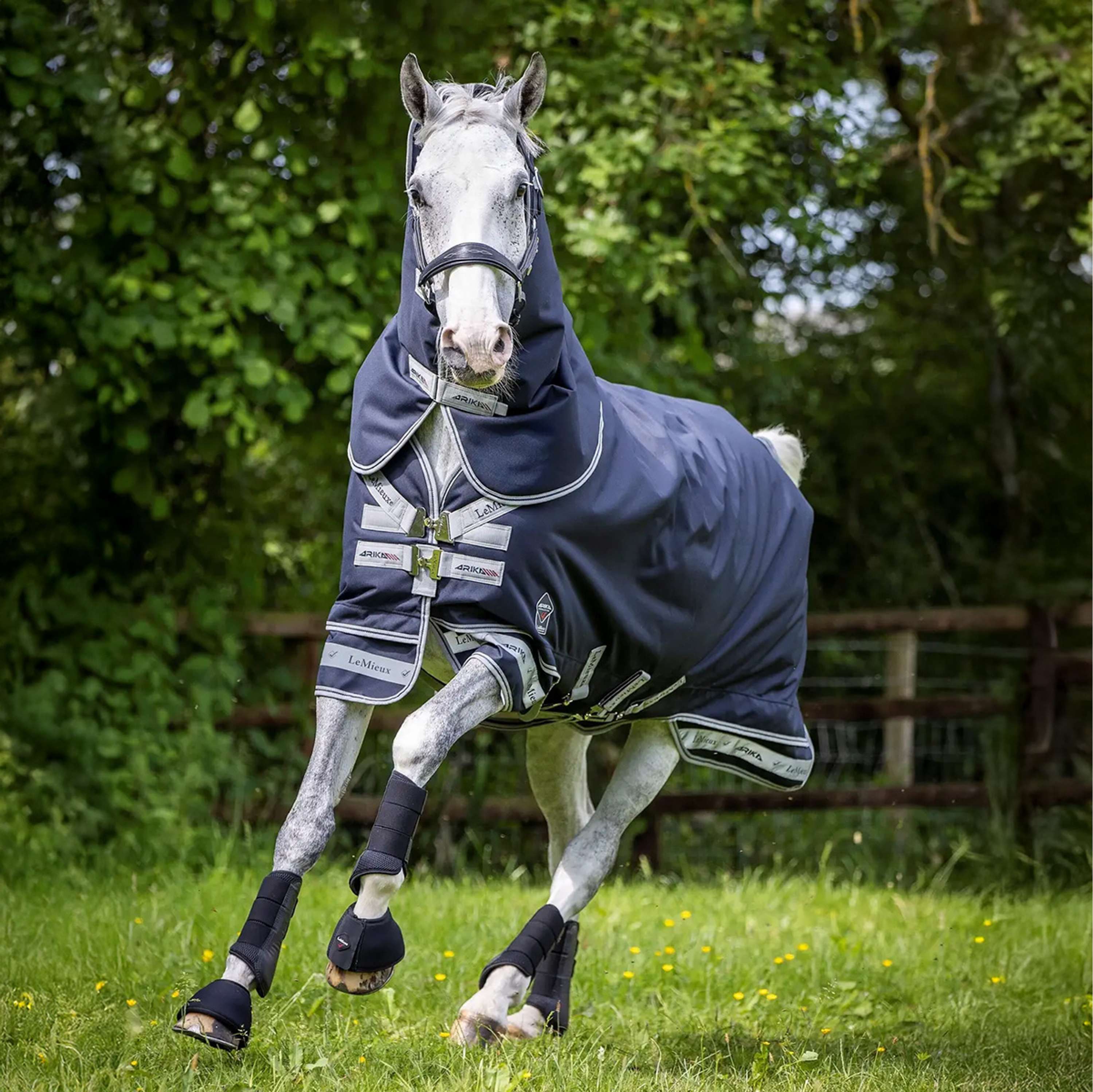 LeMieux Decke Arika Storm-Tek Turnout 100g Navy - Image 4