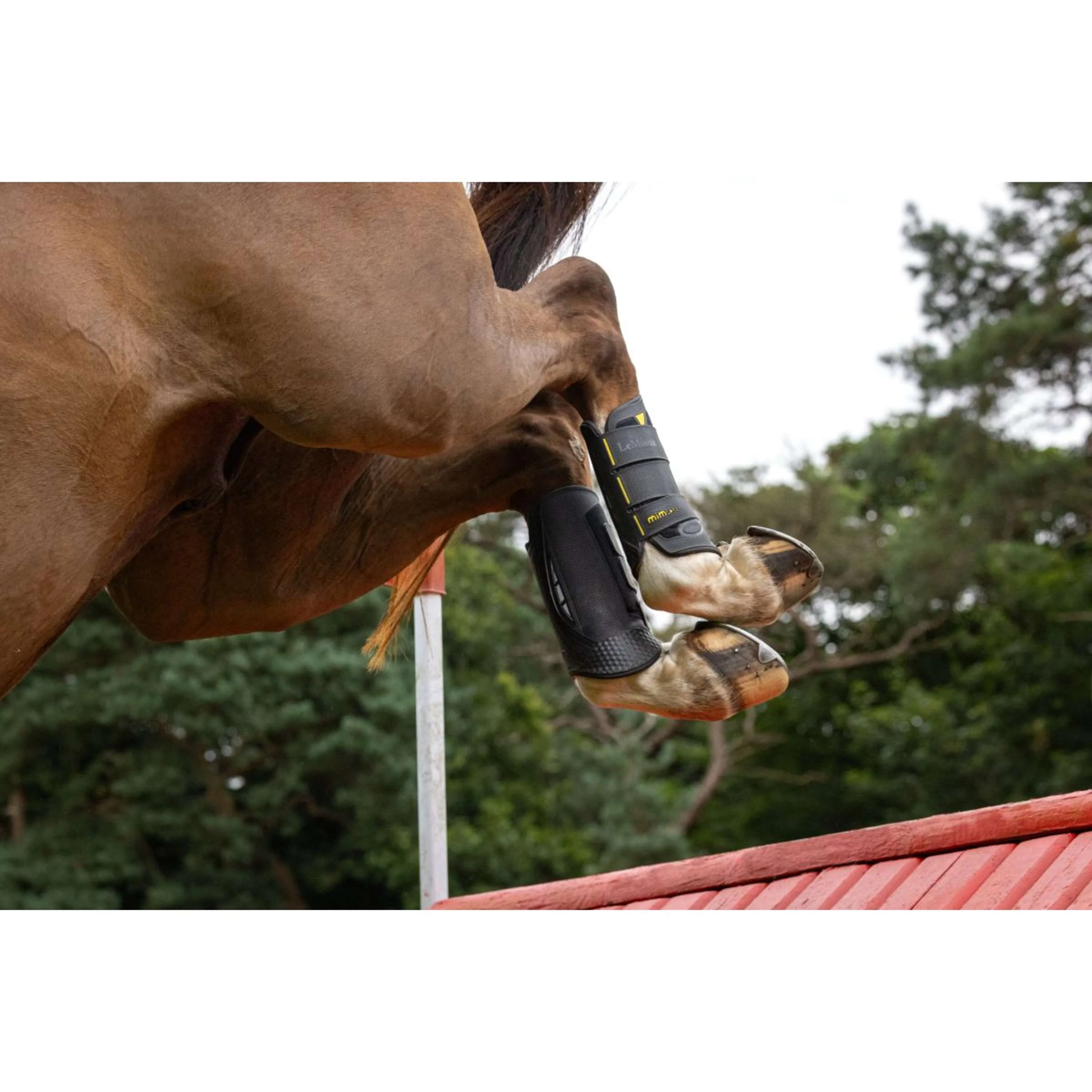LeMieux Eventing Boots MIMsafe Hinter Schwarz - Image 3
