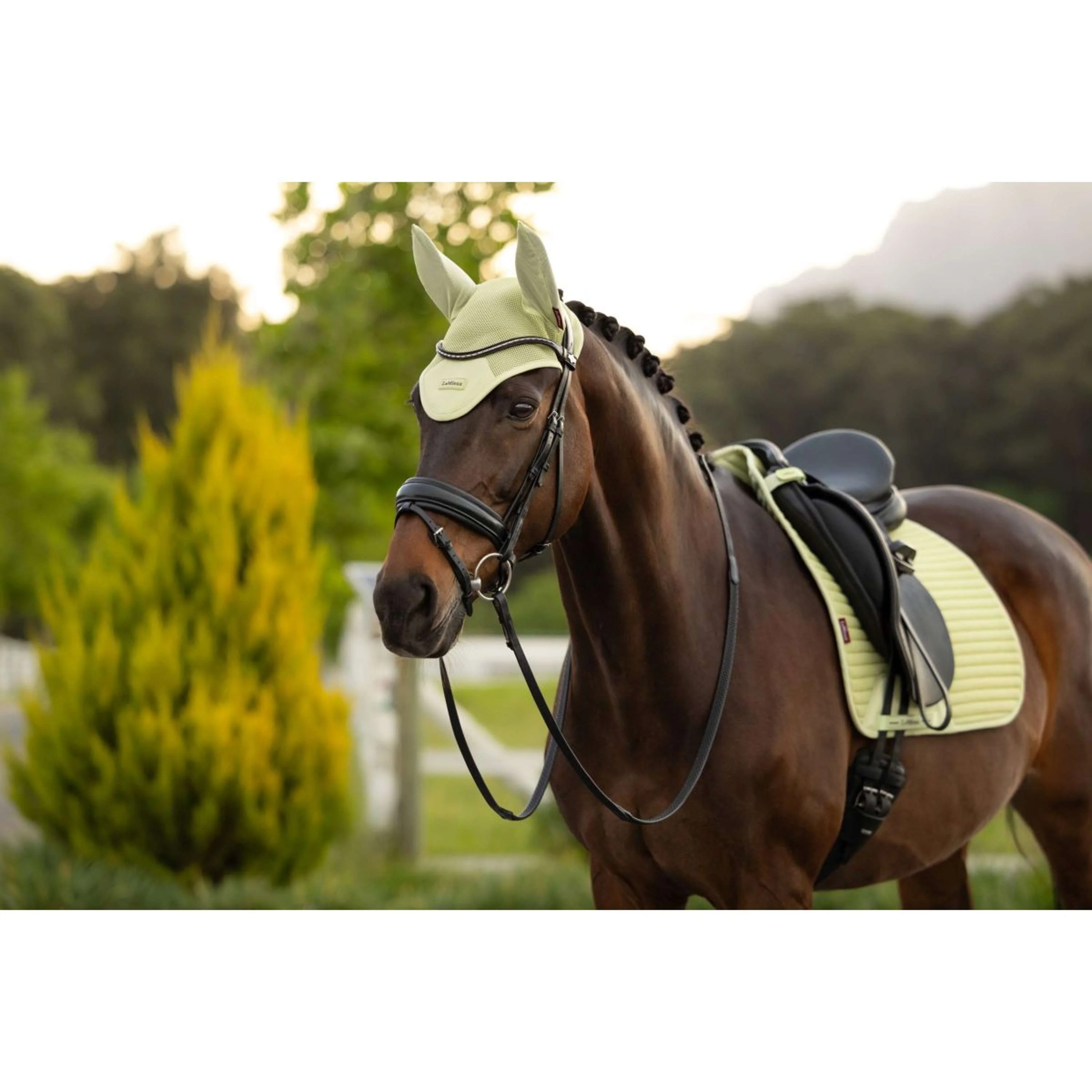 LeMieux Fliegenhaube Air-Tek Mesh Macaron - Image 5