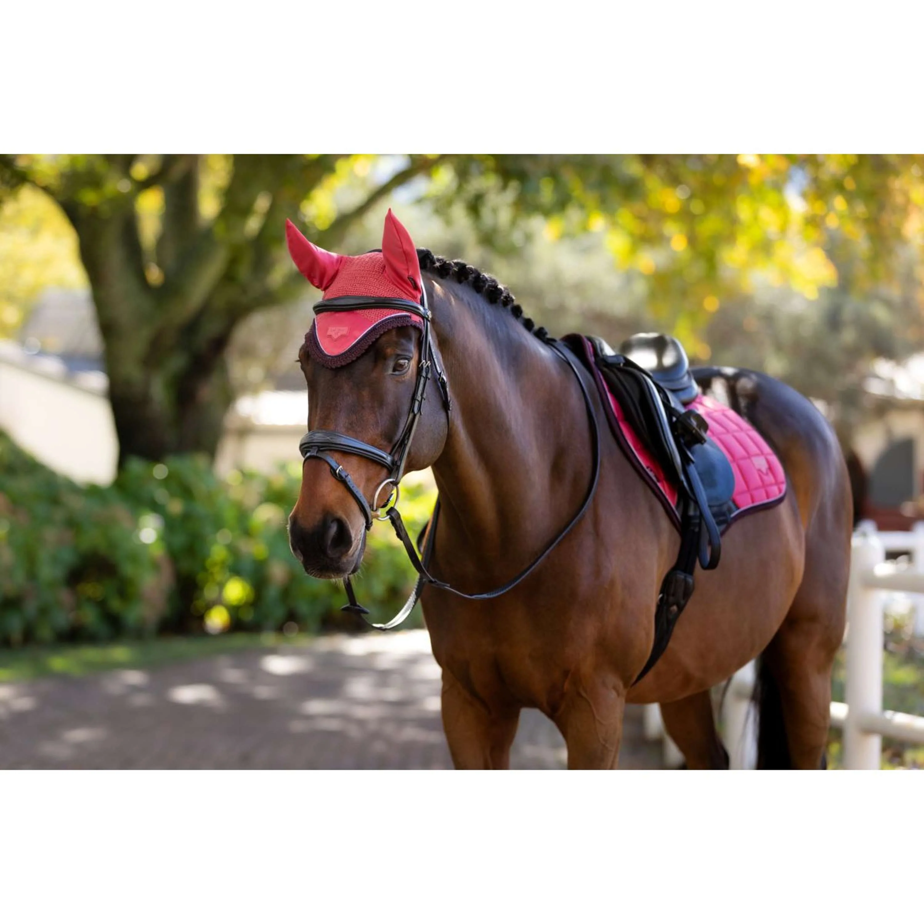 LeMieux Fliegenhaube Loire Cranberry - Image 3