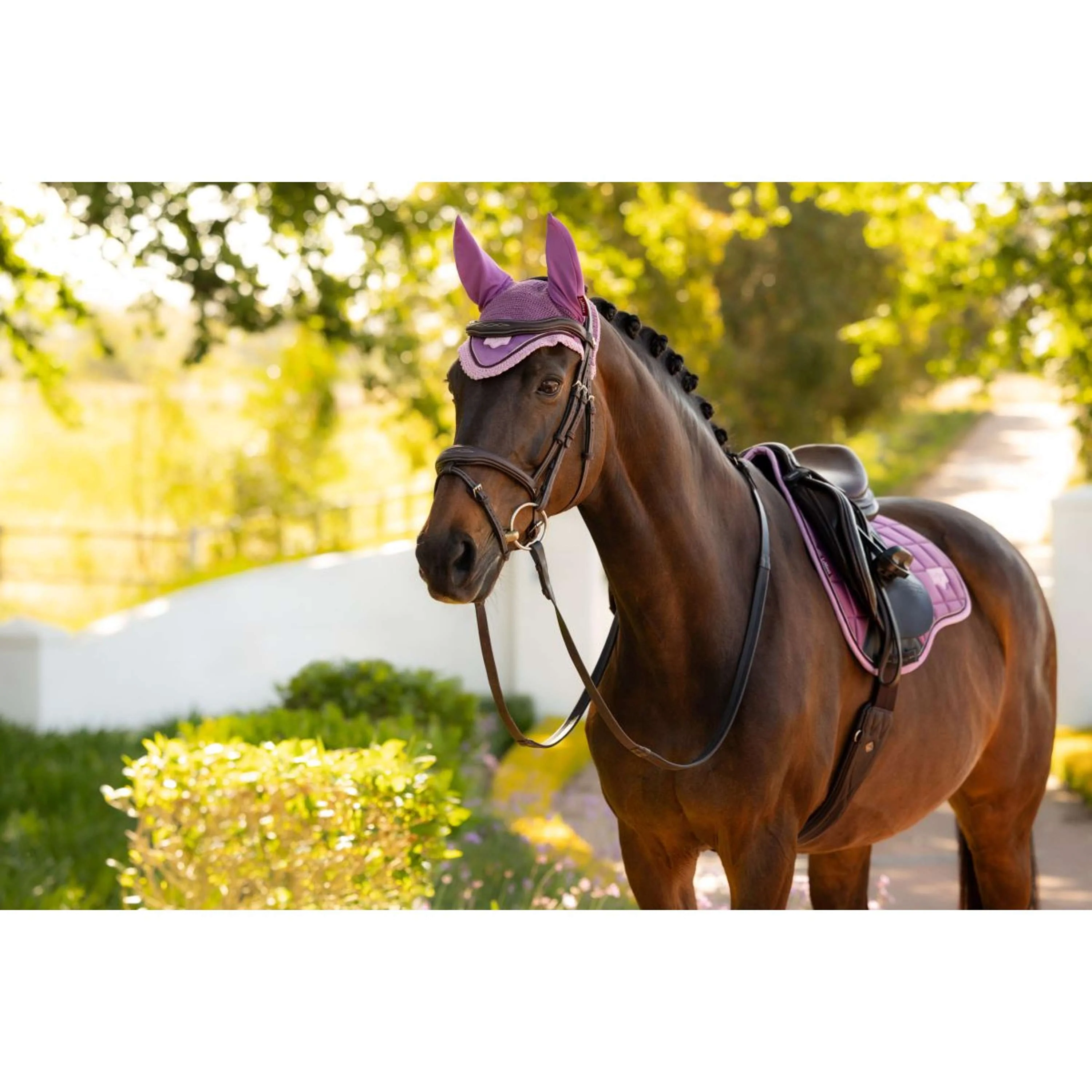 LeMieux Fliegenhaube Loire Mallow - Image 4