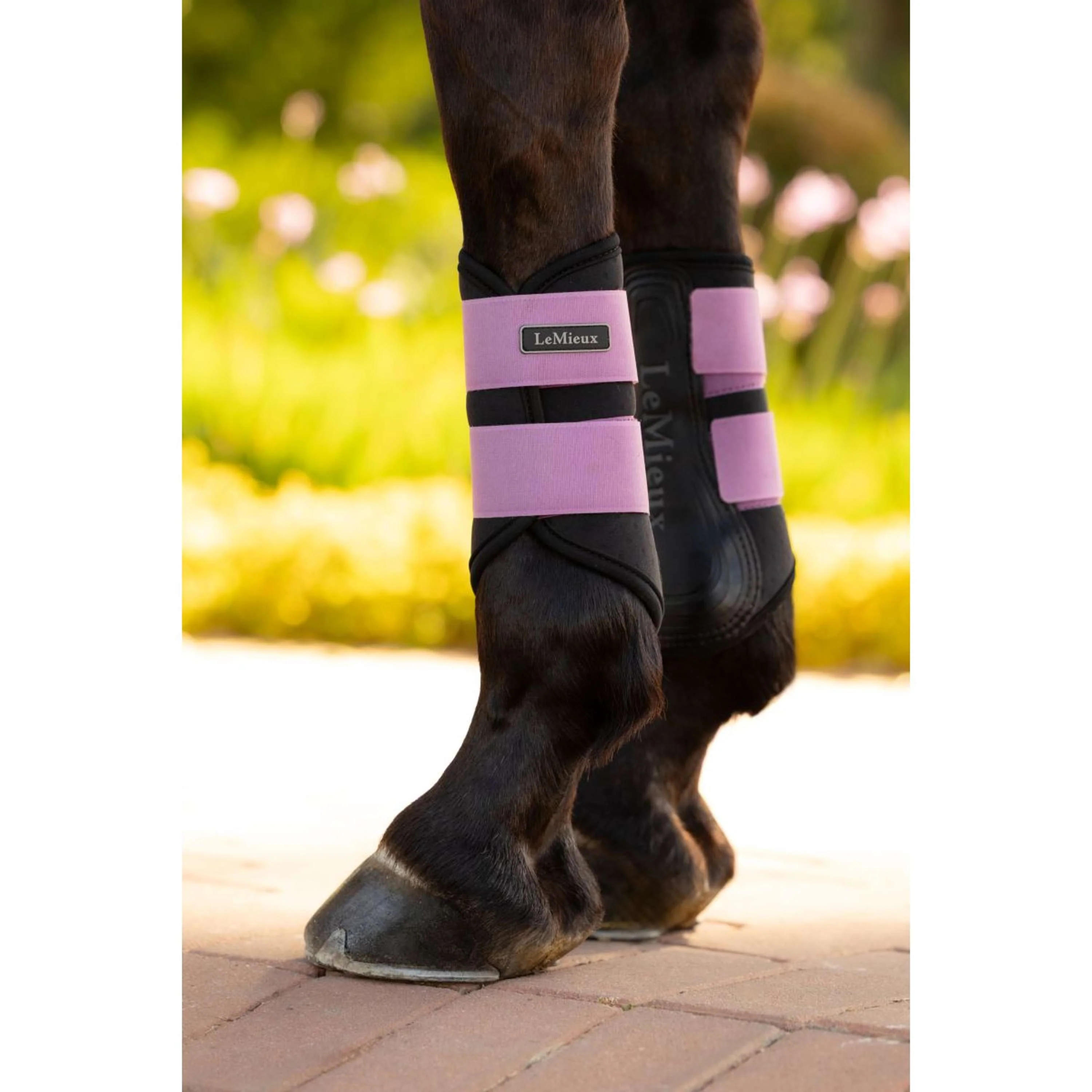 LeMieux Gamaschen Air-Tek Grafter Mallow - Image 2