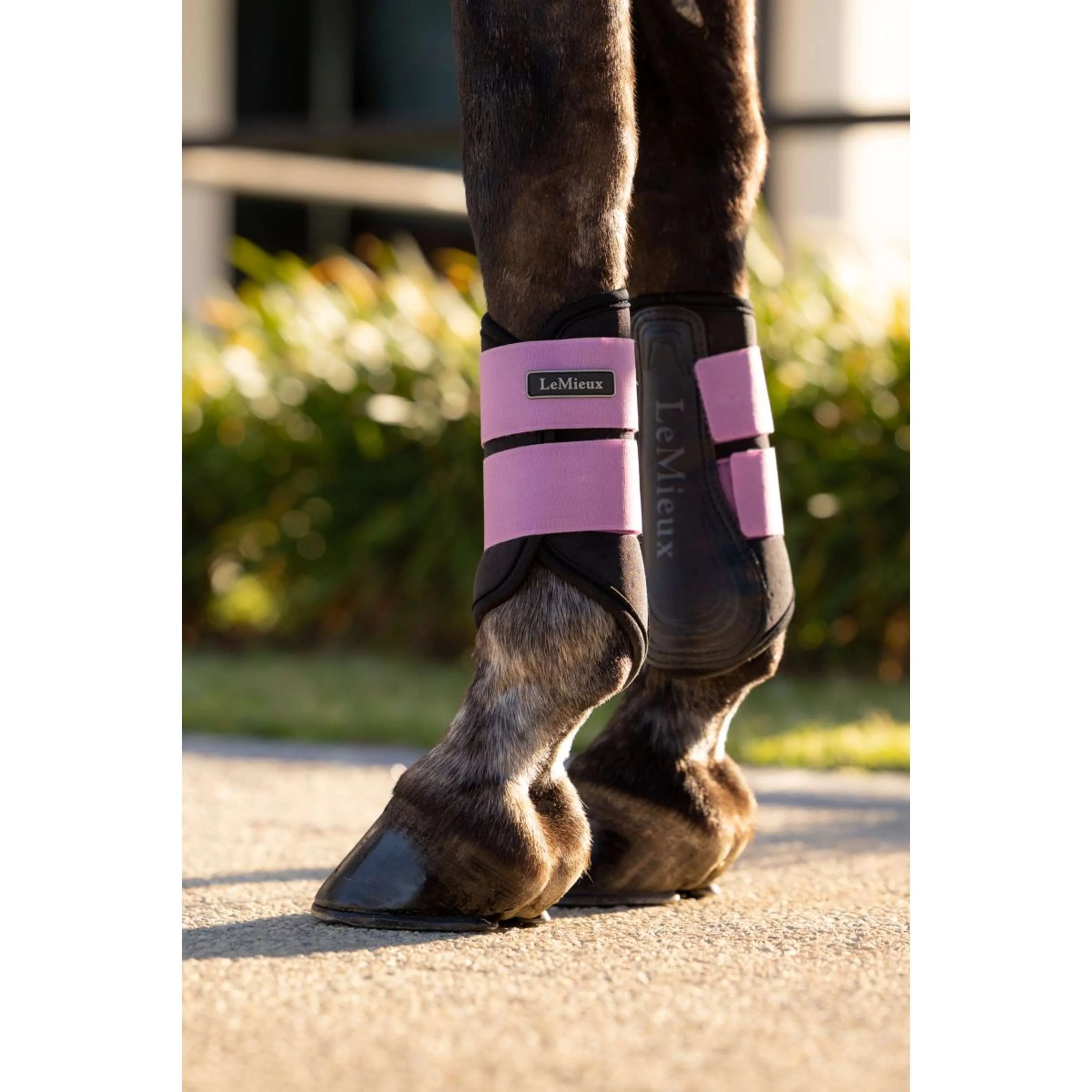 LeMieux Gamaschen Air-Tek Grafter Mallow - Image 3