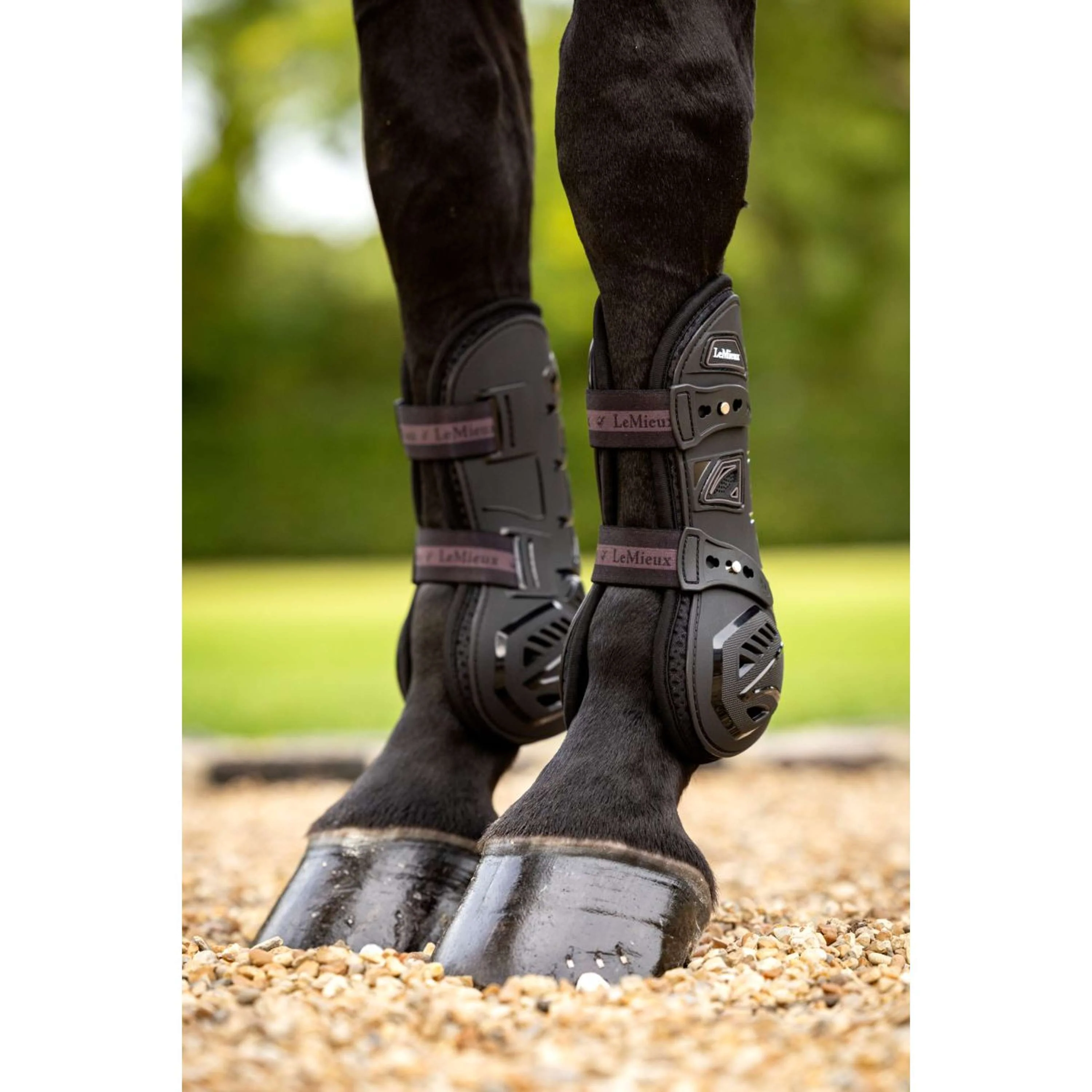 LeMieux Gamaschen Motion Cool Schwarz - Image 8