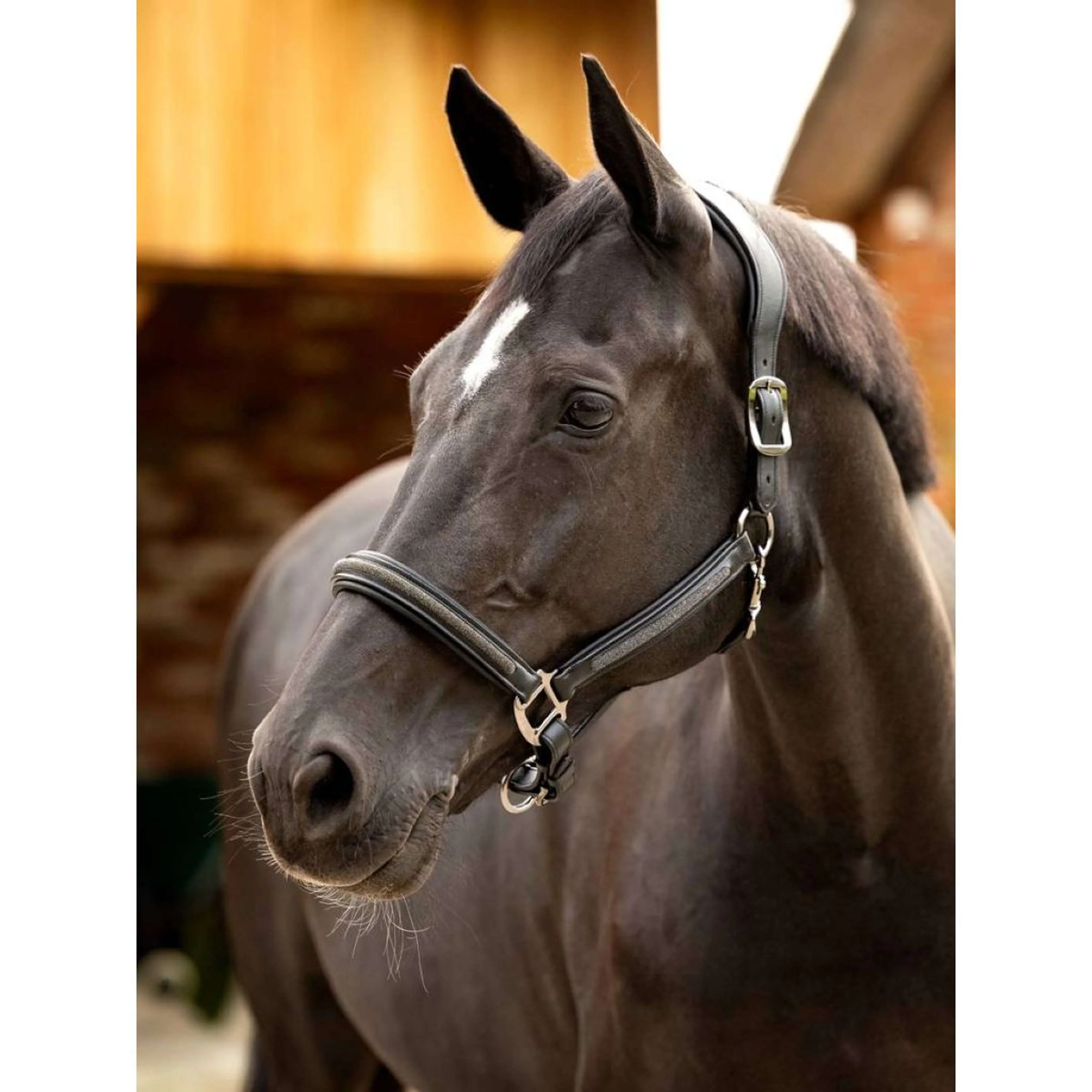 LeMieux Lederhalfter Crystal Schwarz - Image 4