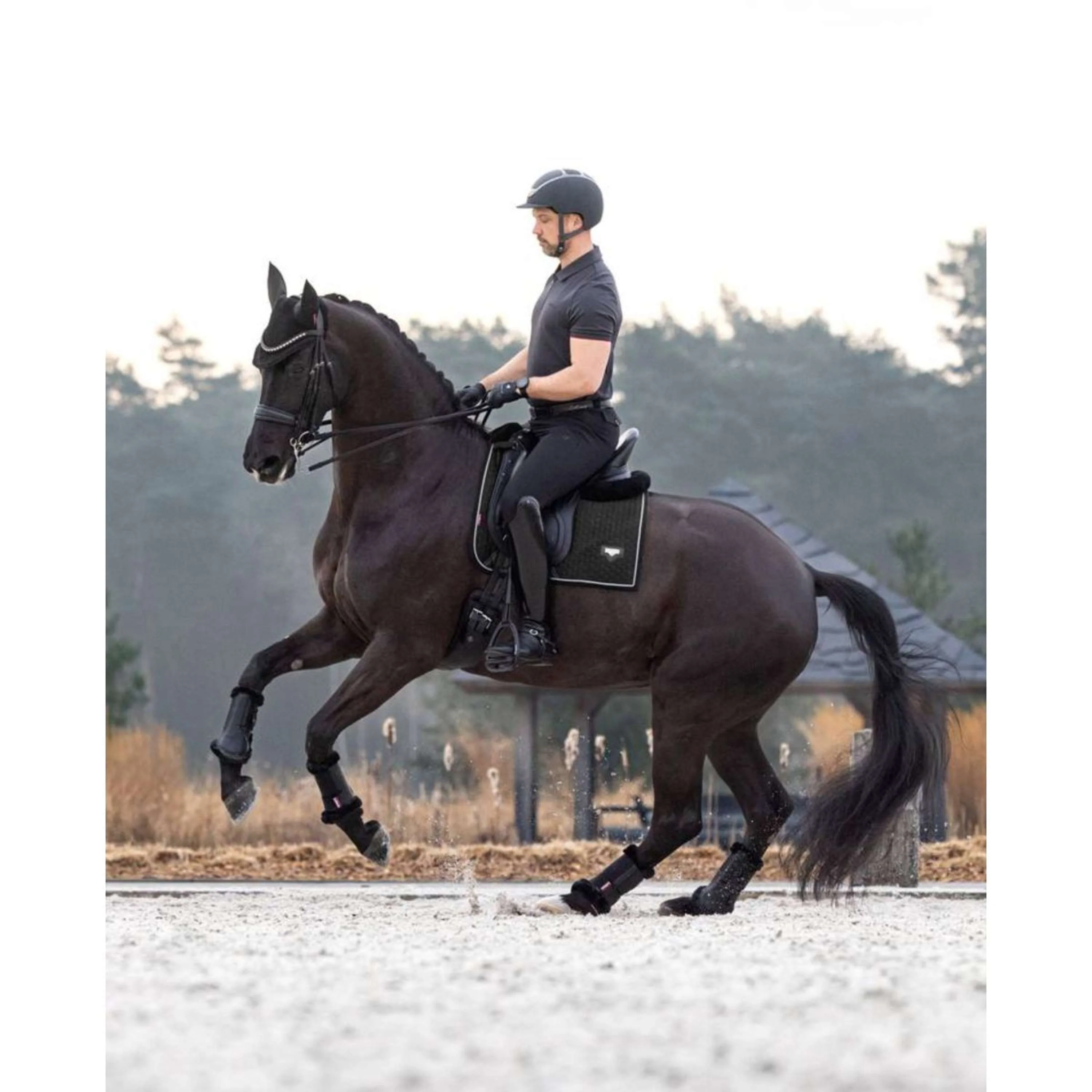 LeMieux Satteldecke Dressur Puissance Wildleder Schwarz - Image 4