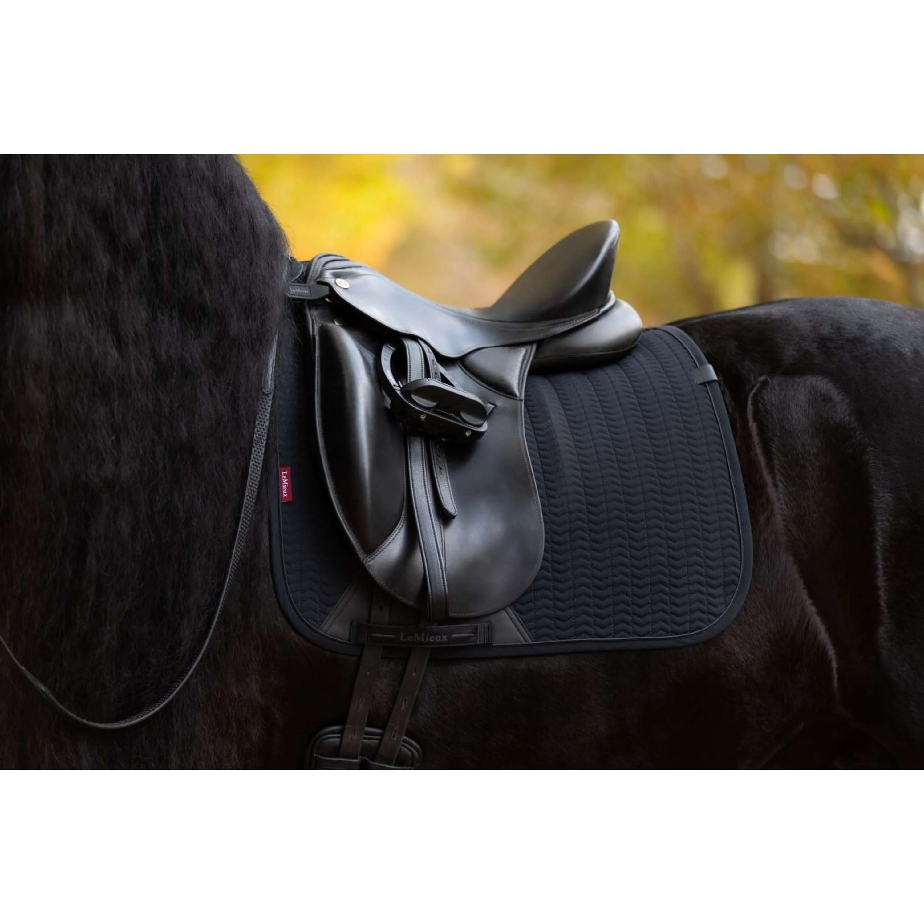 LeMieux Schabracke Essence Dressur Schwarz - Image 13