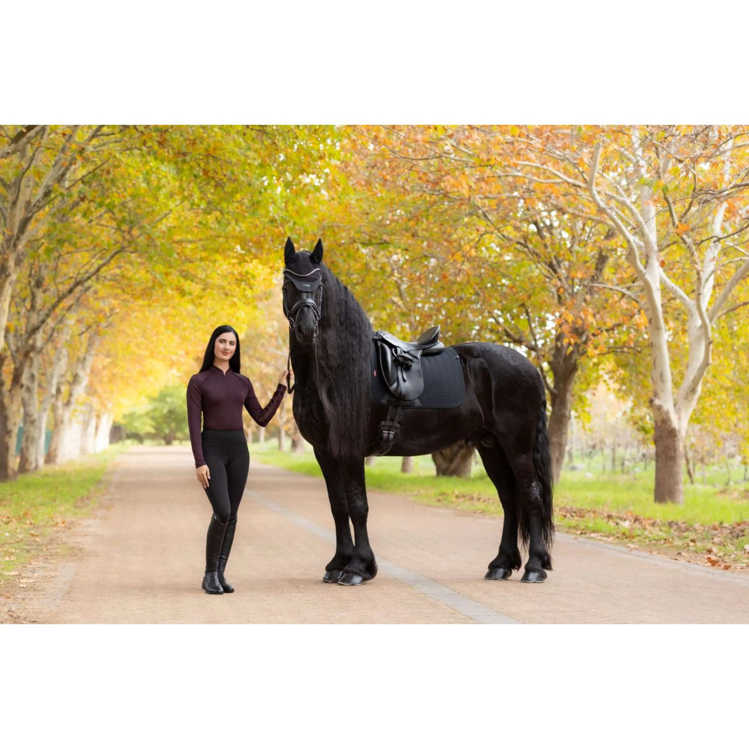 LeMieux Schabracke Essence Dressur Schwarz - Image 6