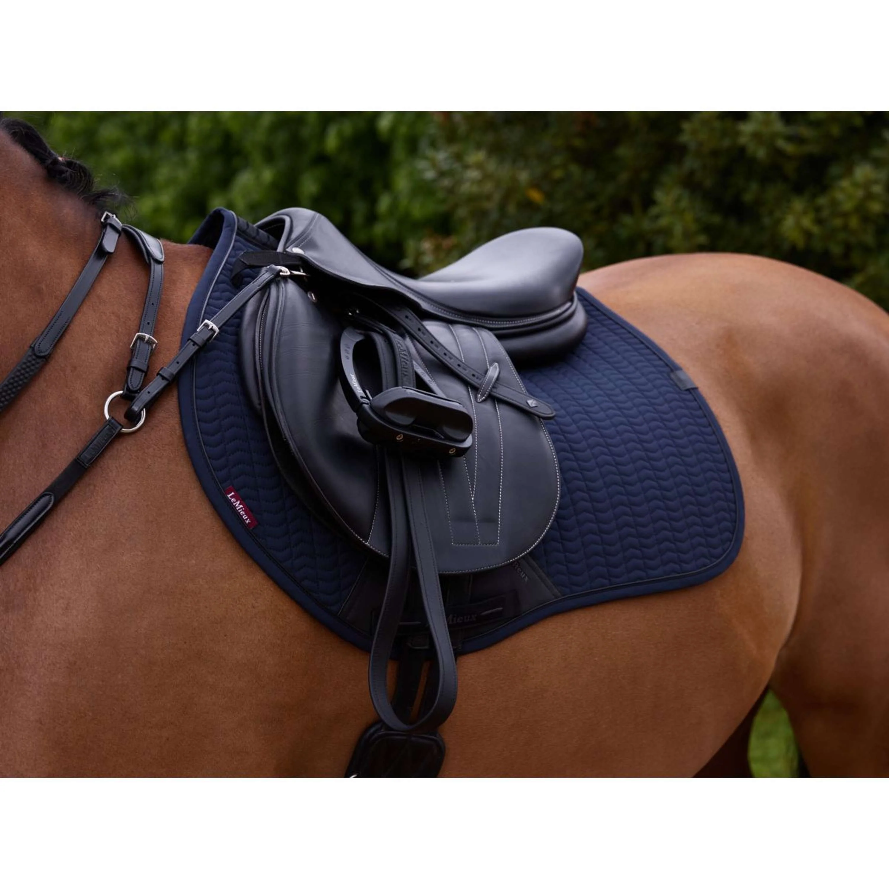 LeMieux Schabracke Essence Springen Navy - Image 2
