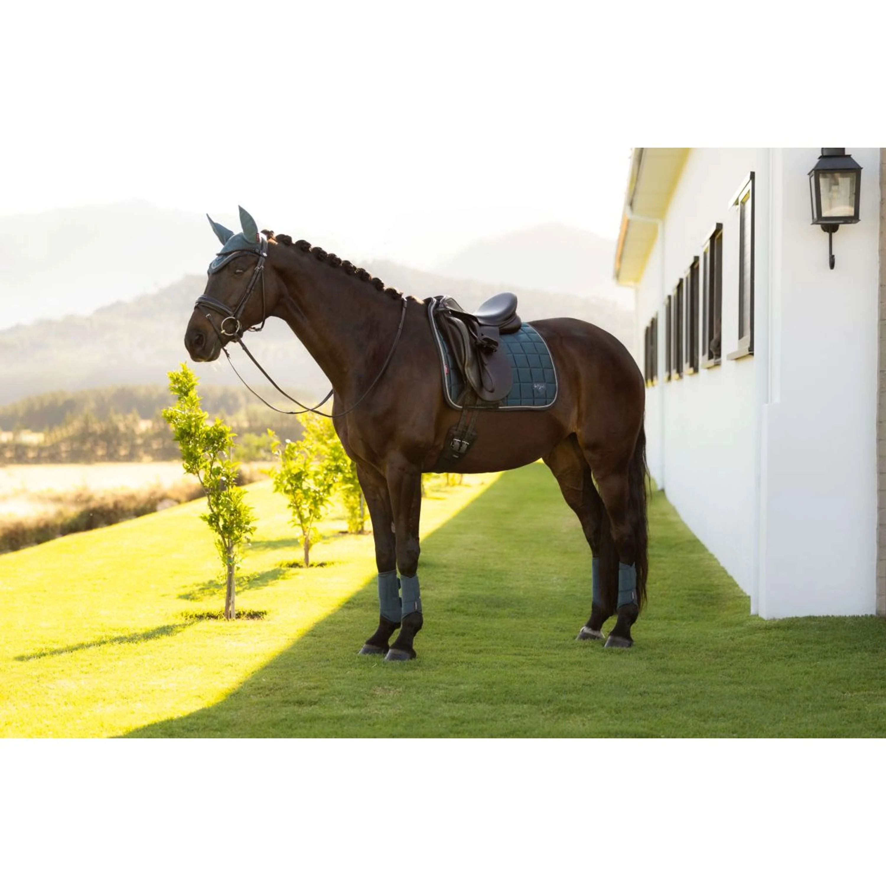 LeMieux Schabracke Loire Classic Square Dressur Jungle - Image 5
