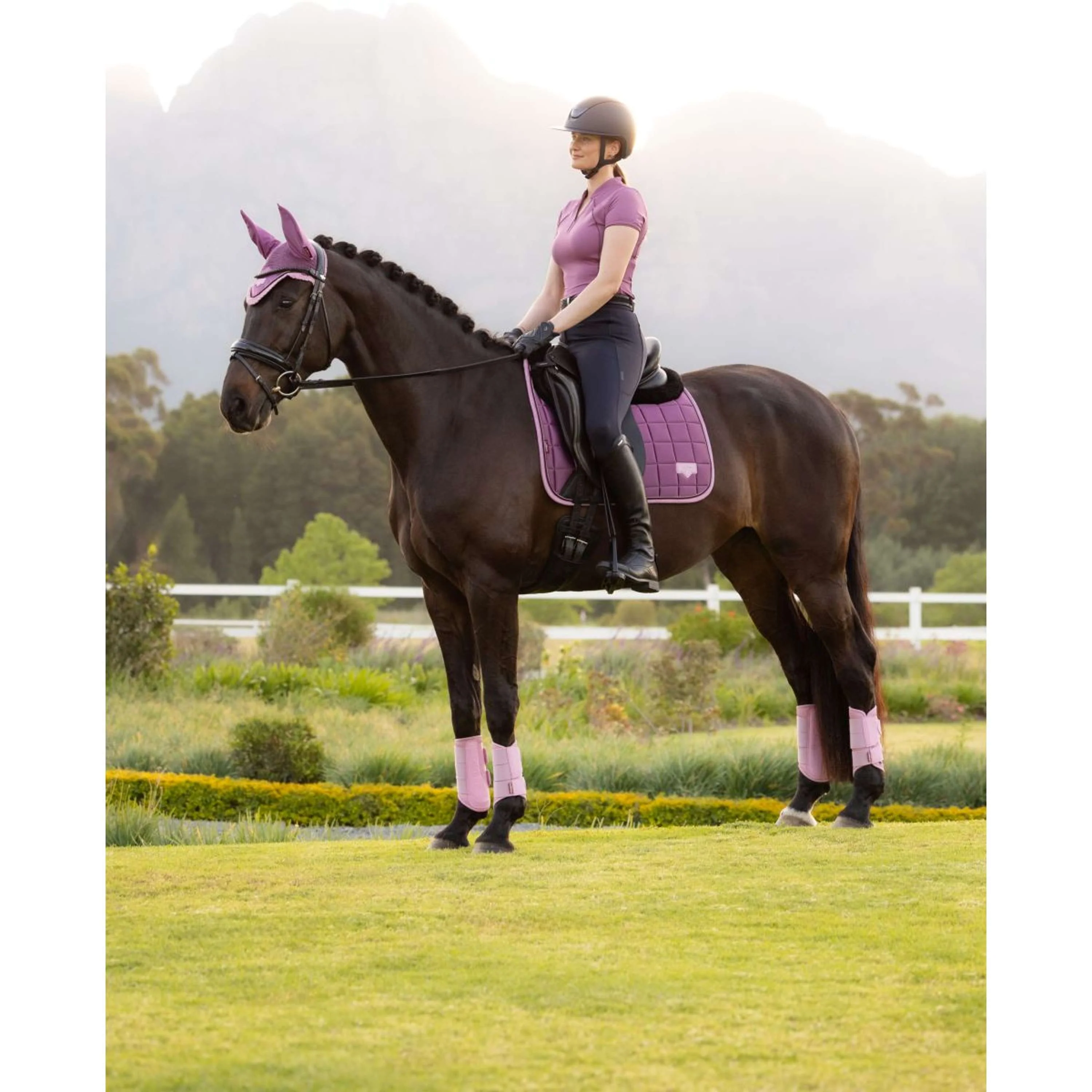 LeMieux Schabracke Loire Classic Square Dressur Mallow - Image 16