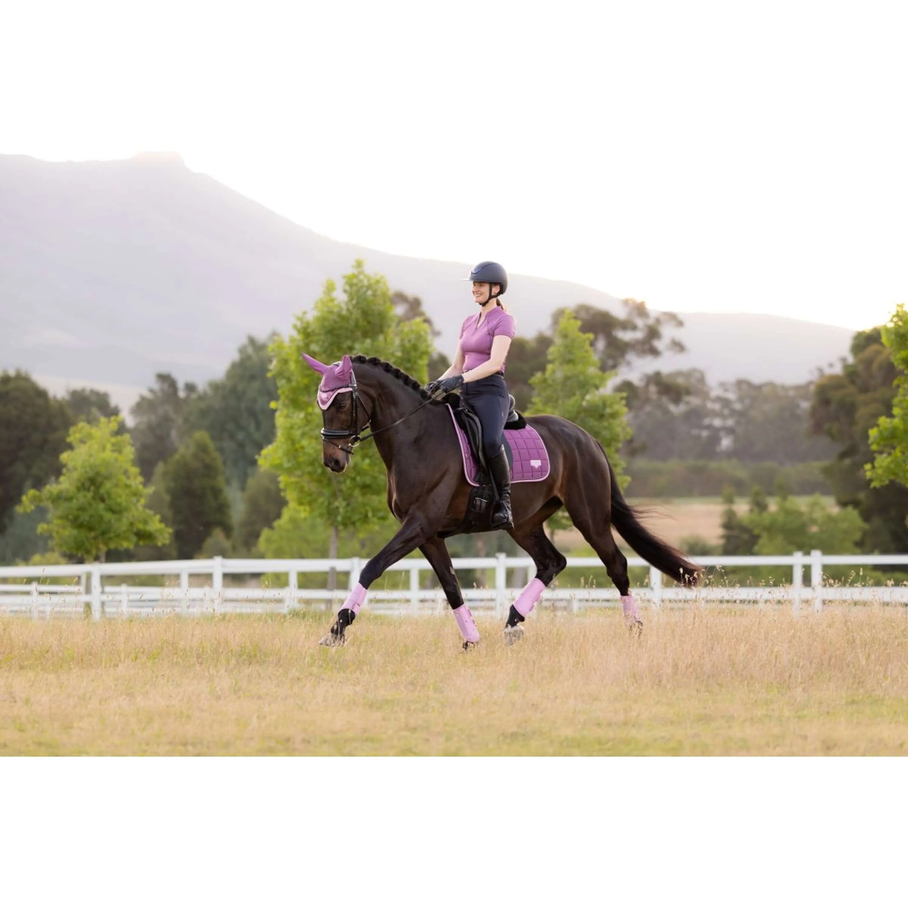 LeMieux Schabracke Loire Classic Square Dressur Mallow - Image 17