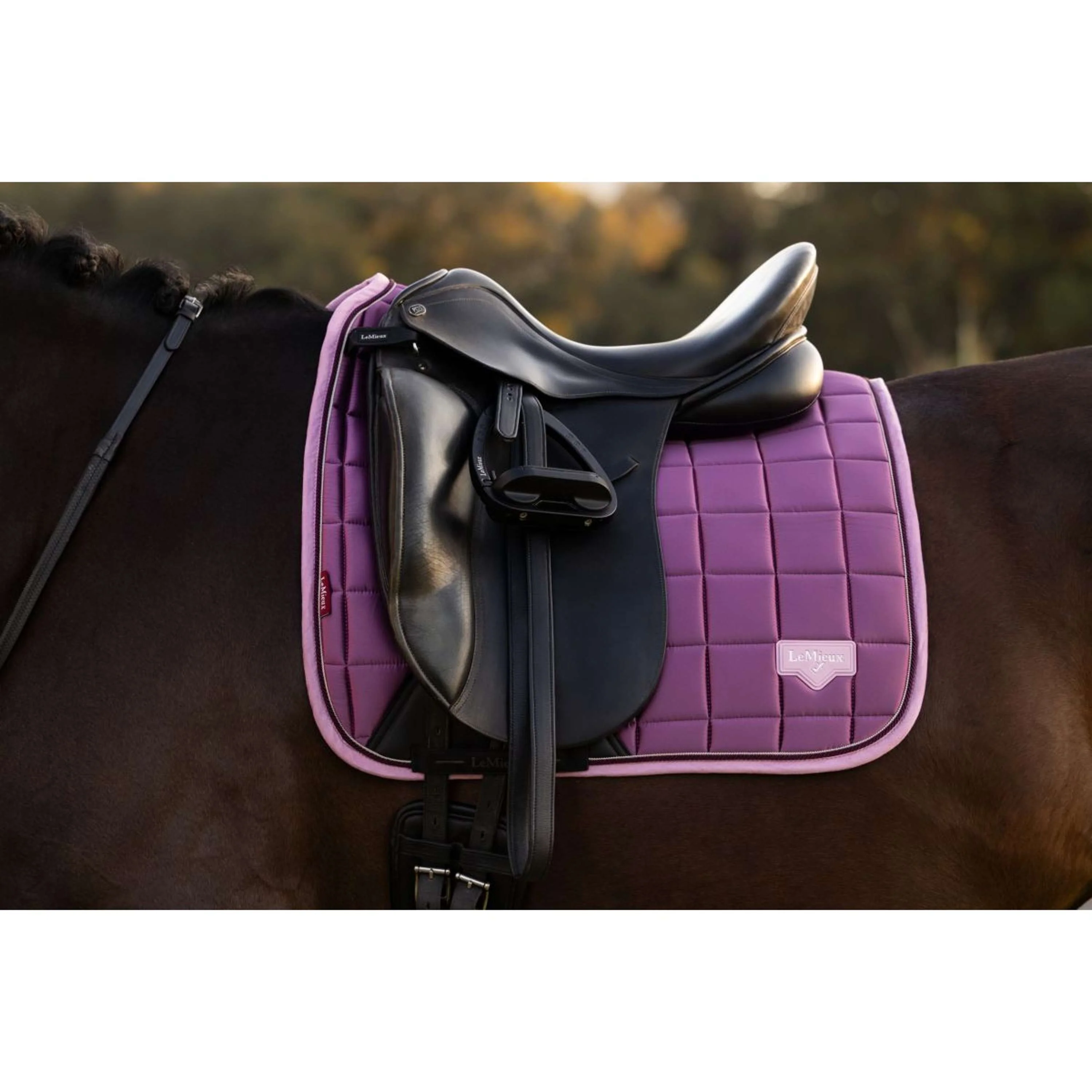LeMieux Schabracke Loire Classic Square Dressur Mallow - Image 2