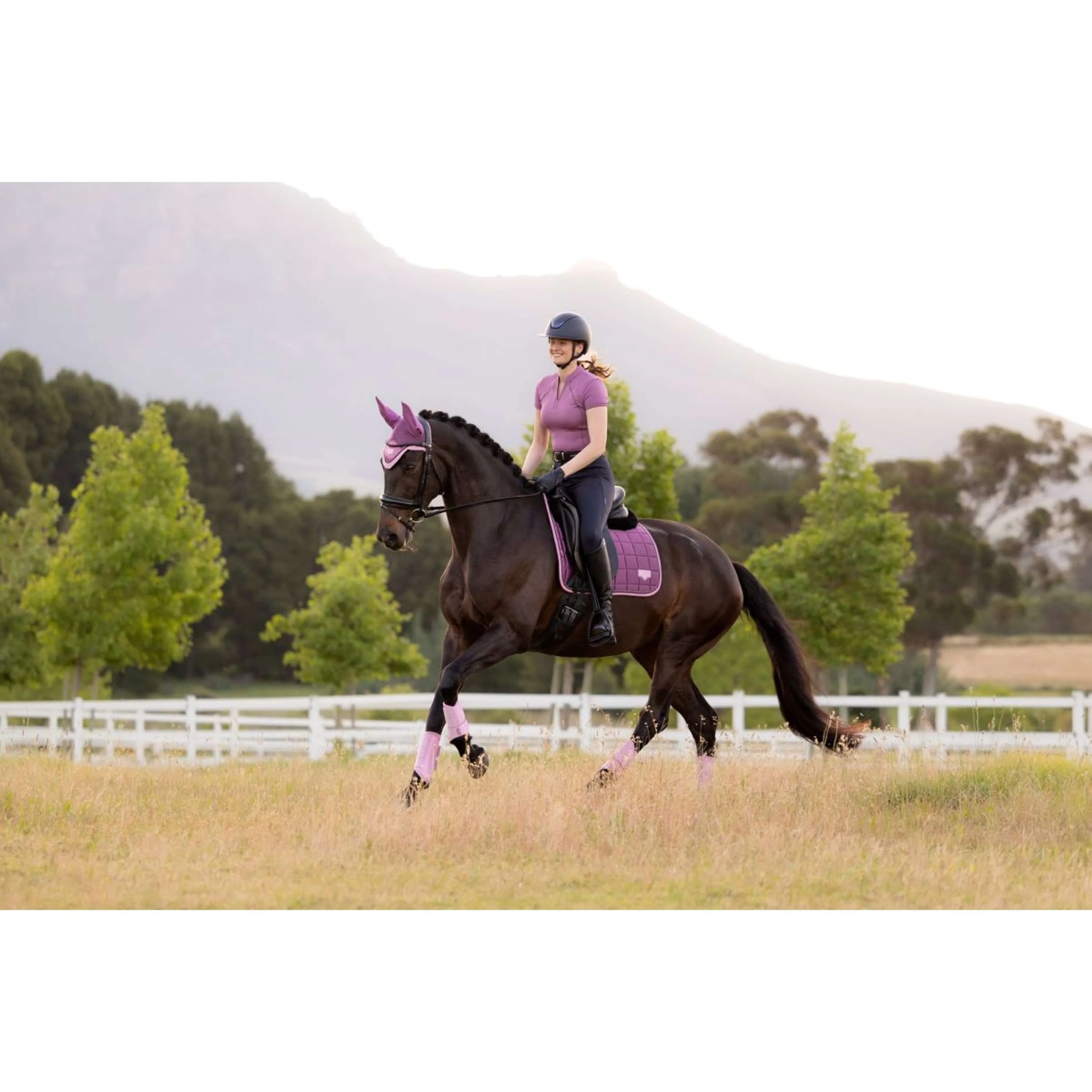 LeMieux Schabracke Loire Classic Square Dressur Mallow - Image 3