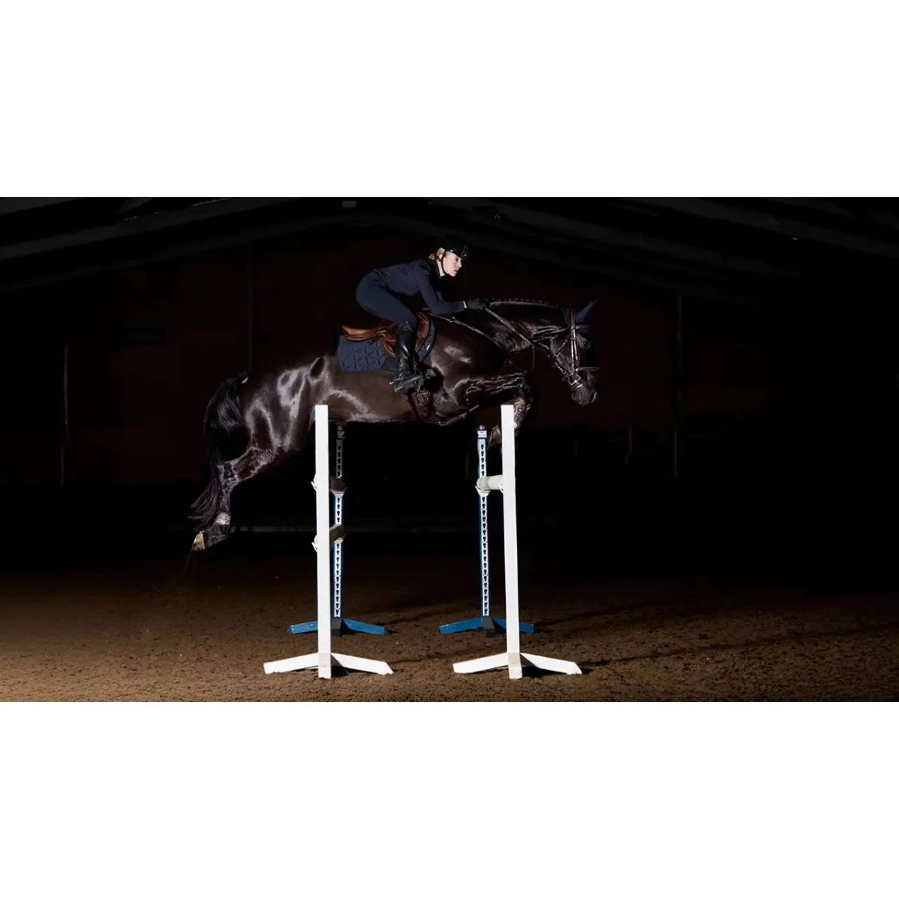 LeMieux Schabracke ProForm Springen Navy - Image 3