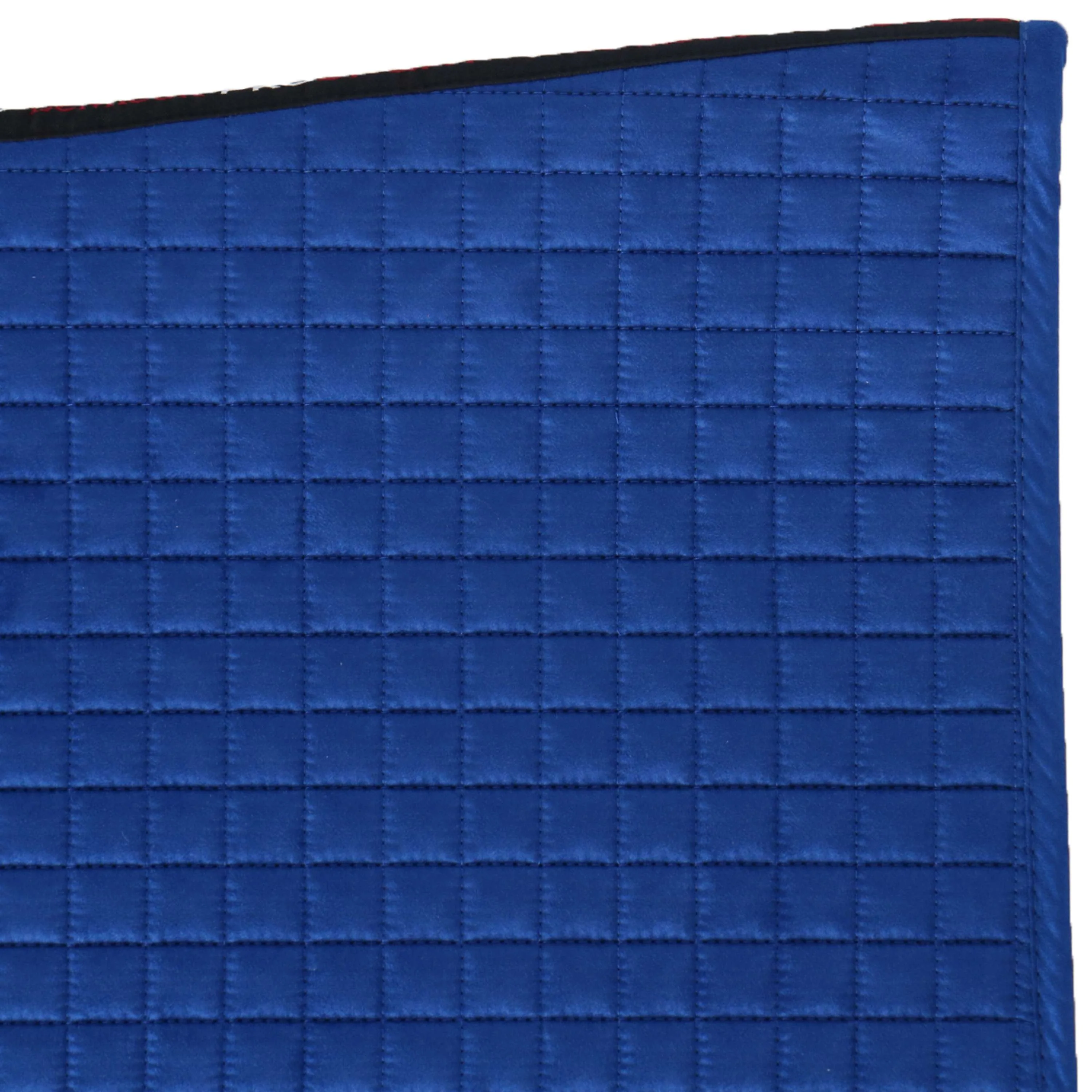 LeMieux Schabracke Luxury Square Dressur Benetton Blau - Image 9