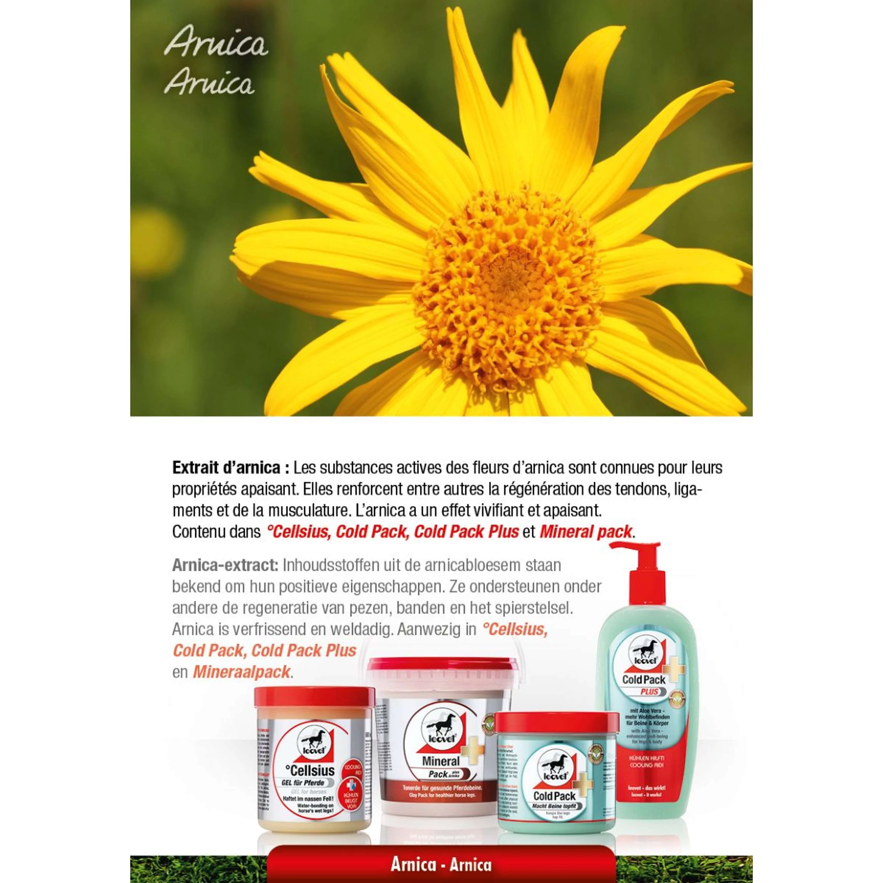 Leovet Cold Pack - Image 5