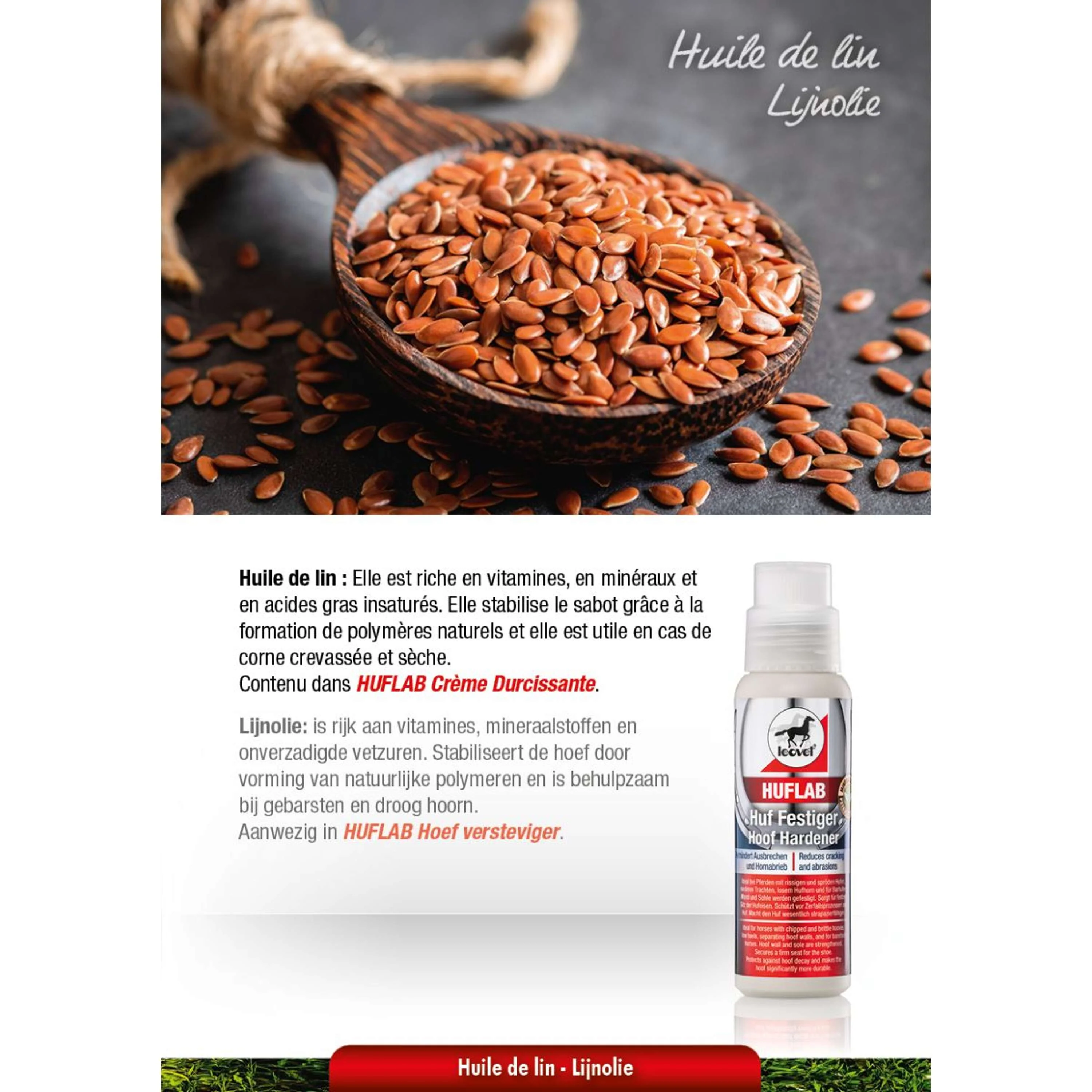 Leovet HoofLab Versteifung - Image 4