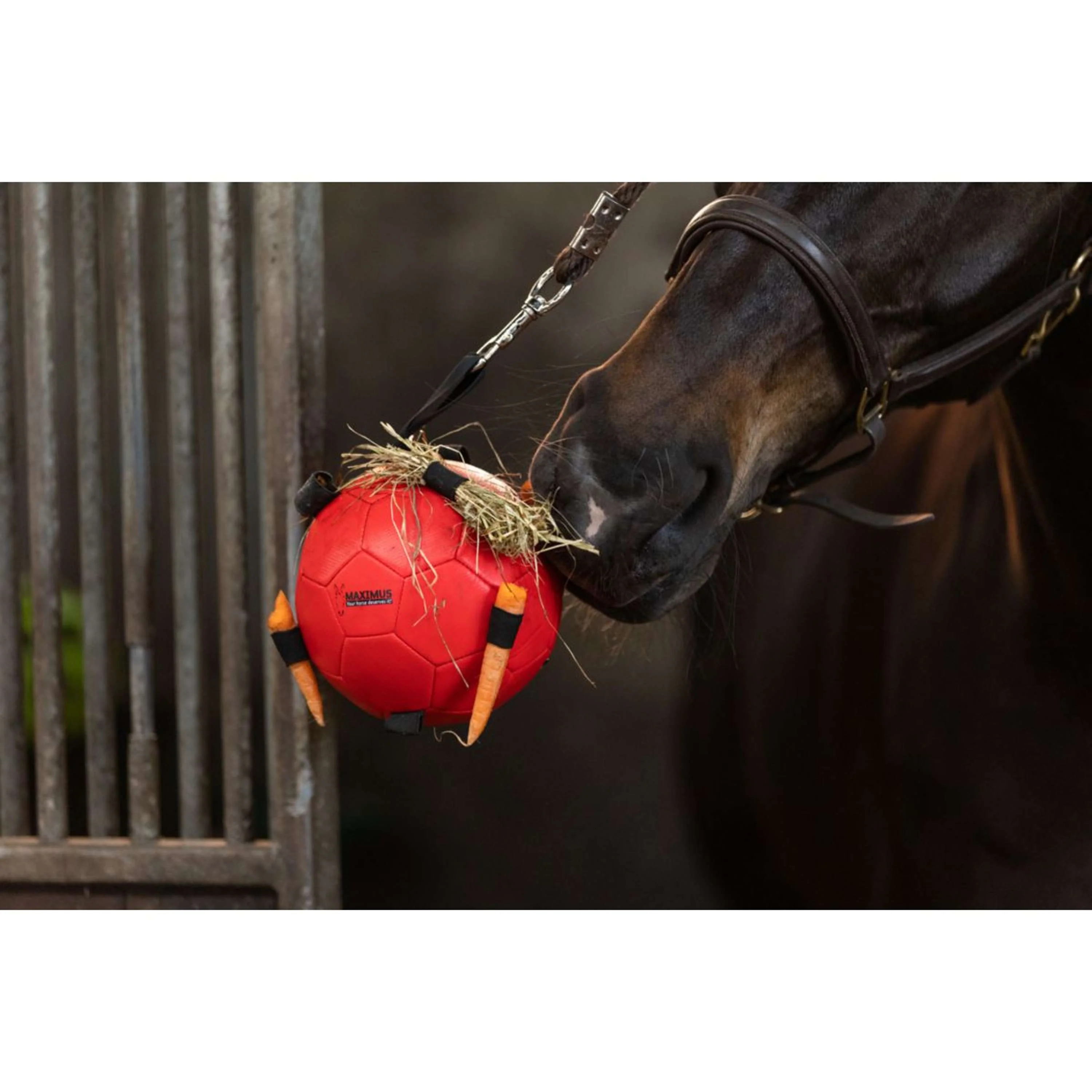 Maximus Ball Fun Play Gelb - Image 2