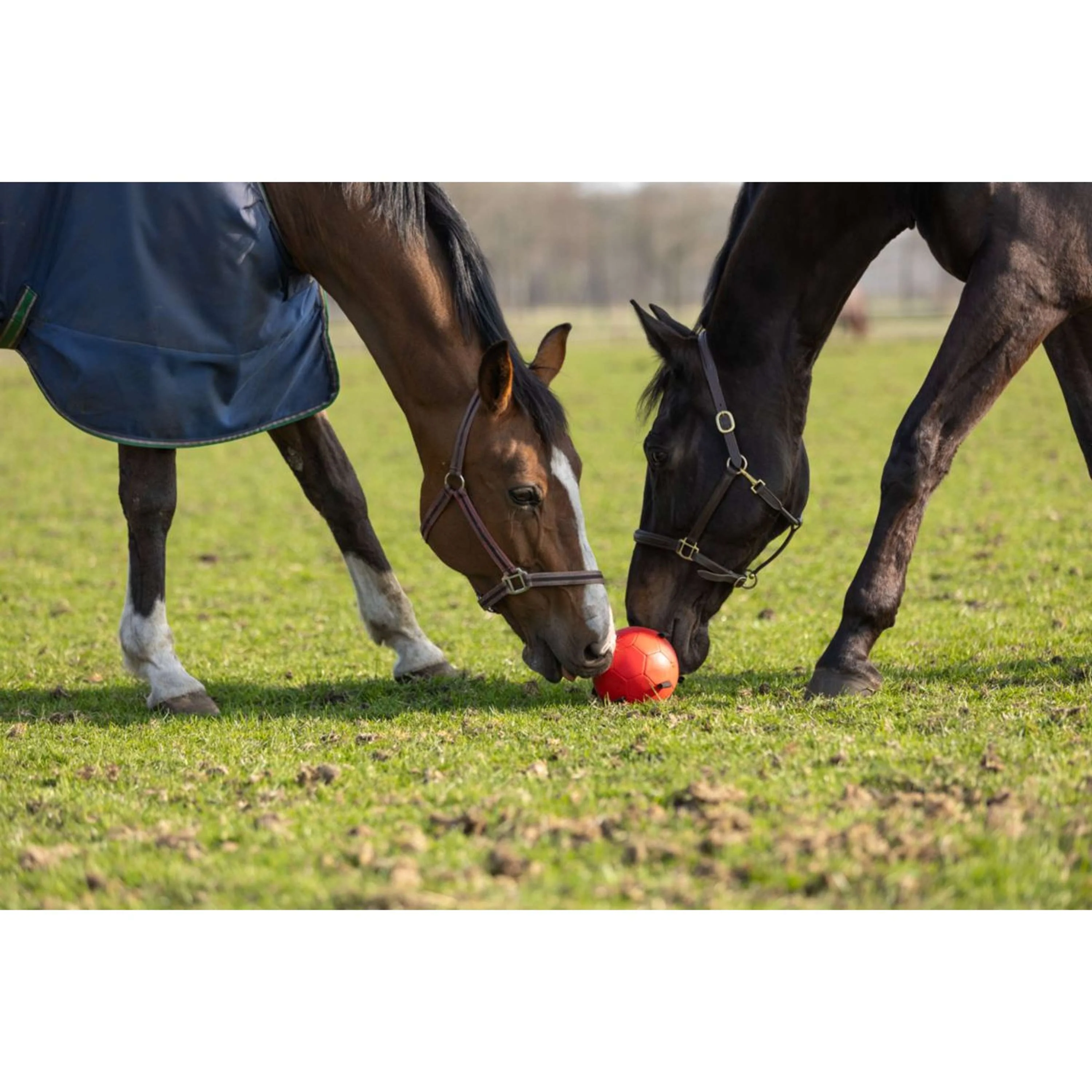Maximus Ball Fun Play Gelb - Image 5