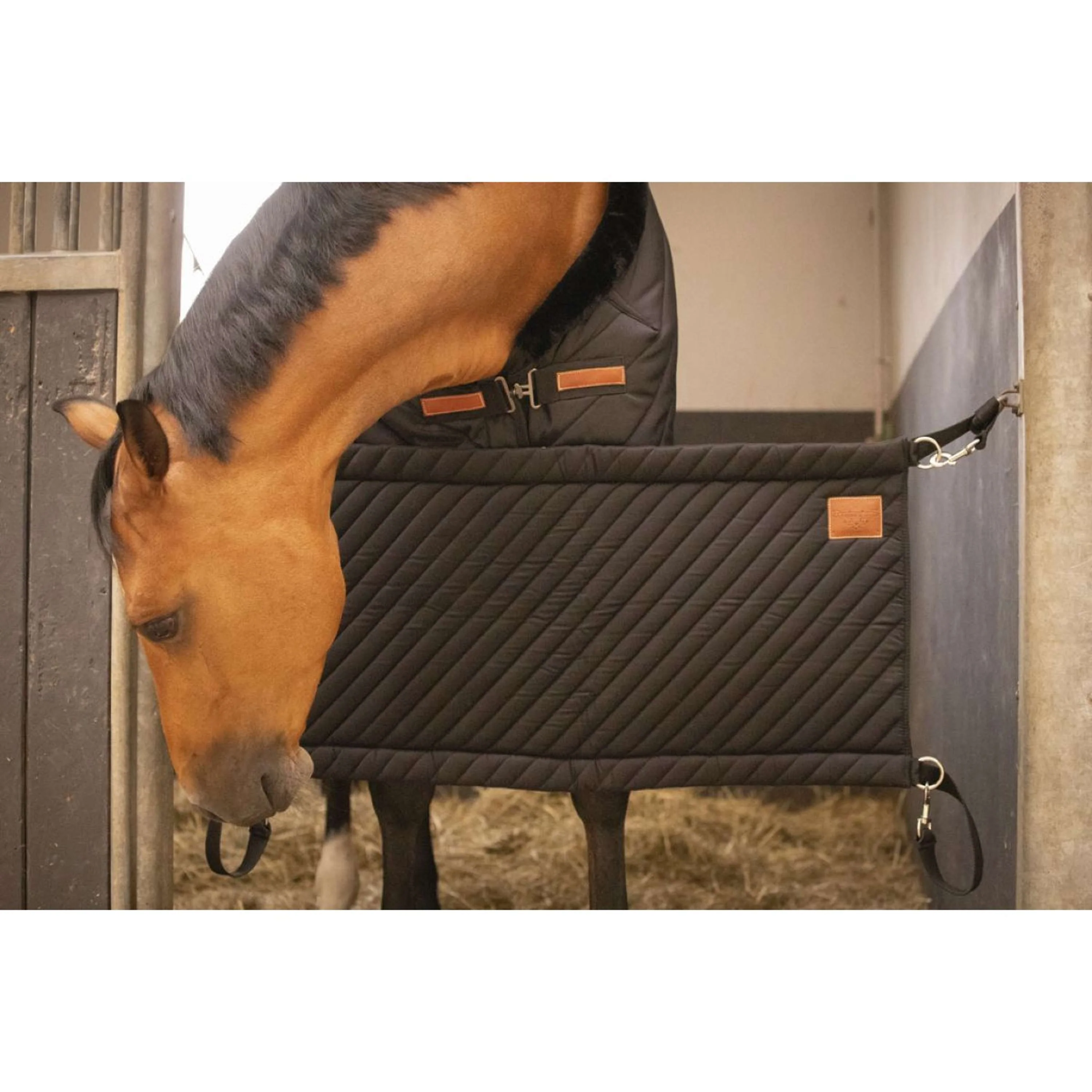 Paddock Boxentuch Schwarz - Image 2