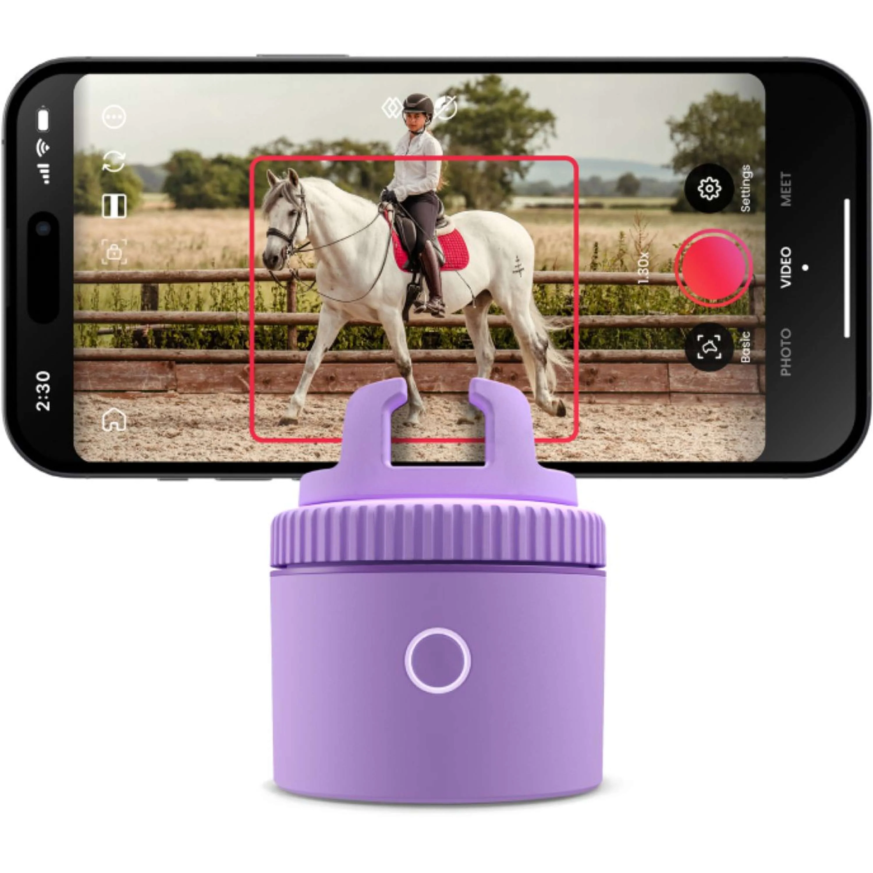 Pivo Pod Violett - Image 2