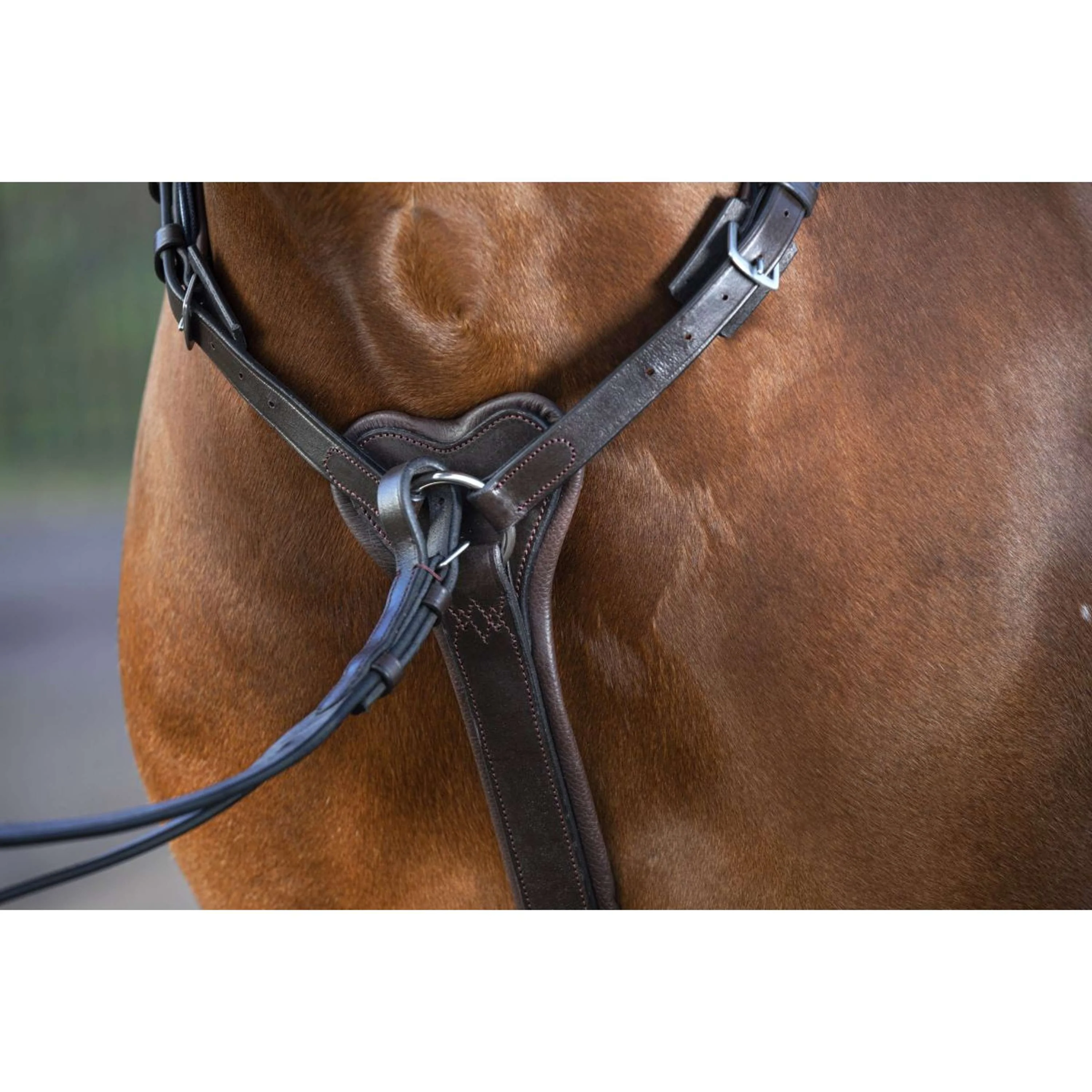 Horseware Micklem Brustgeschirr mit Martingal Braun - Image 2