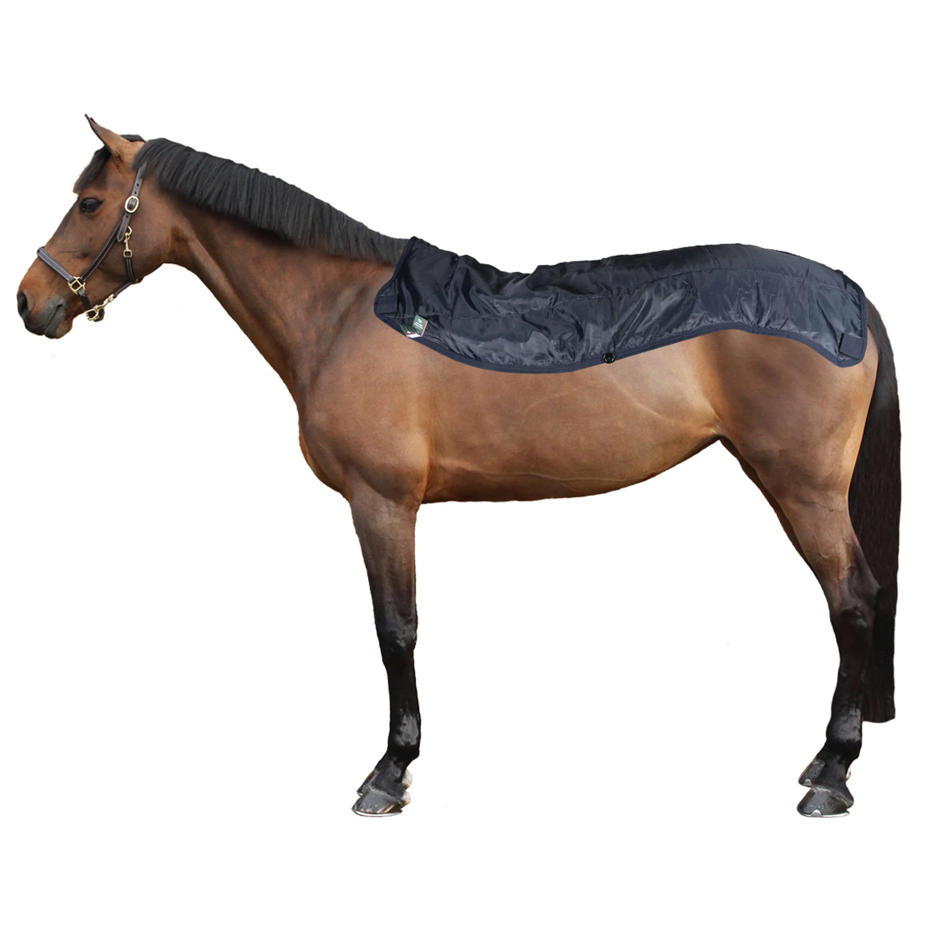 Rambo Summer Series Turnout 0g Navy/Grau - Image 4