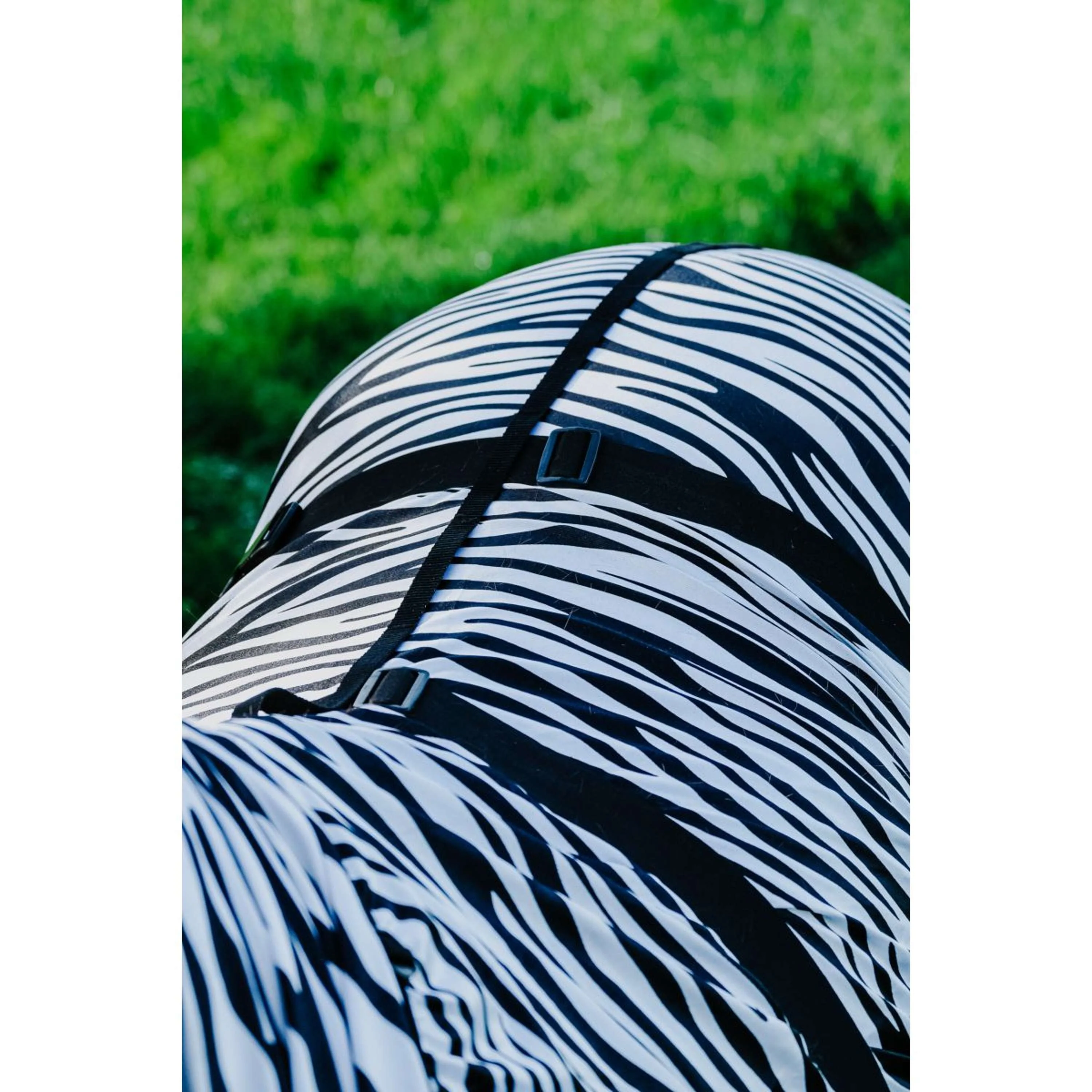 Riding World Ekzemerdecke Zebra - Image 4
