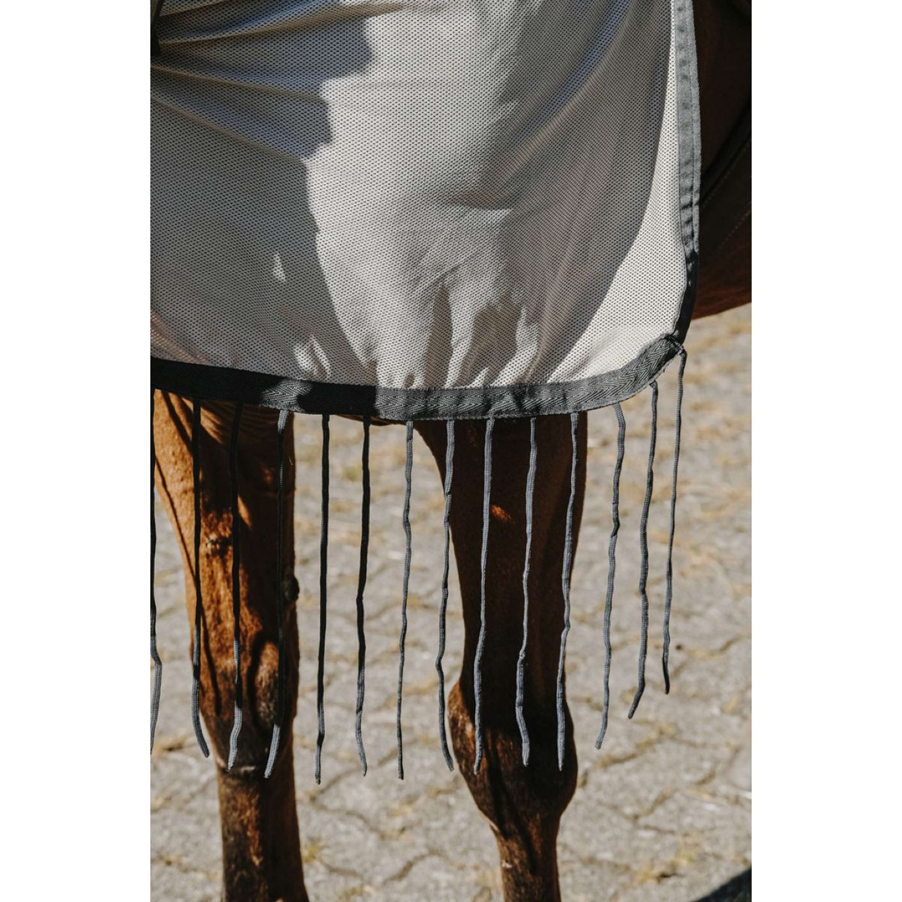 Riding World Fliegen-Ausreitdecke Mesh Grau - Image 7