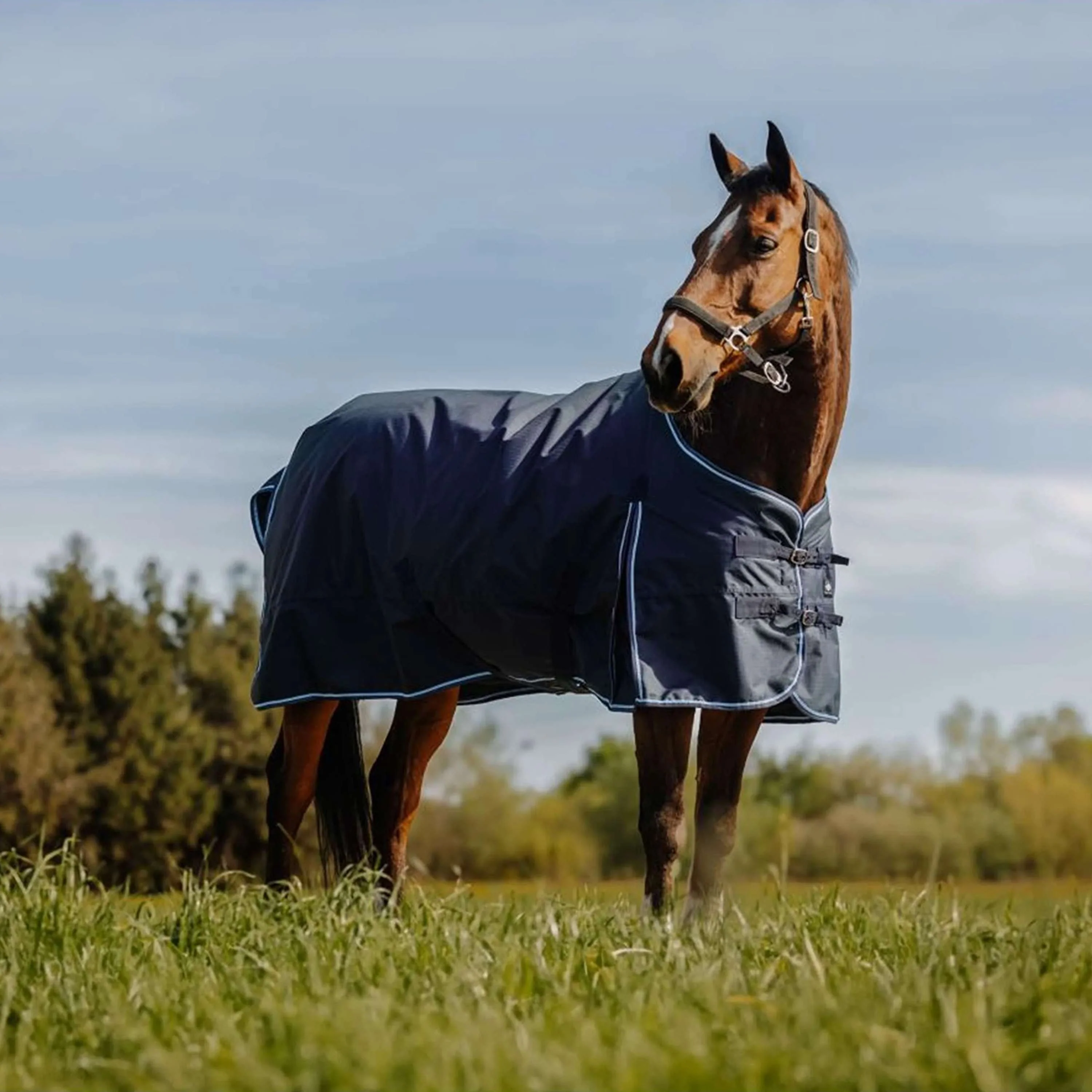 Riding World Outdoordecke Eco 600D 0g Navy