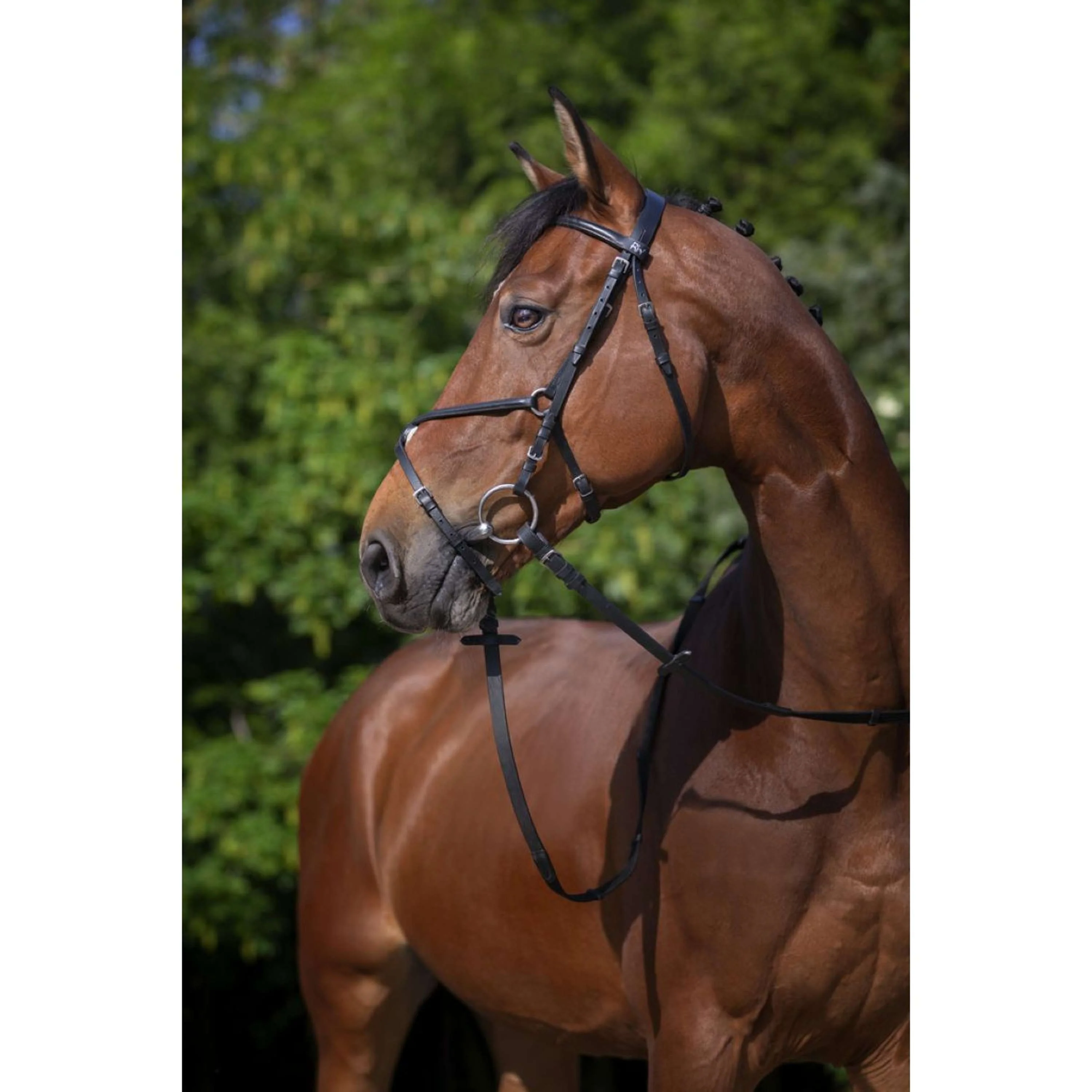 Riding World Trense Mexikanischer Nasenriemen Schwarz - Image 2