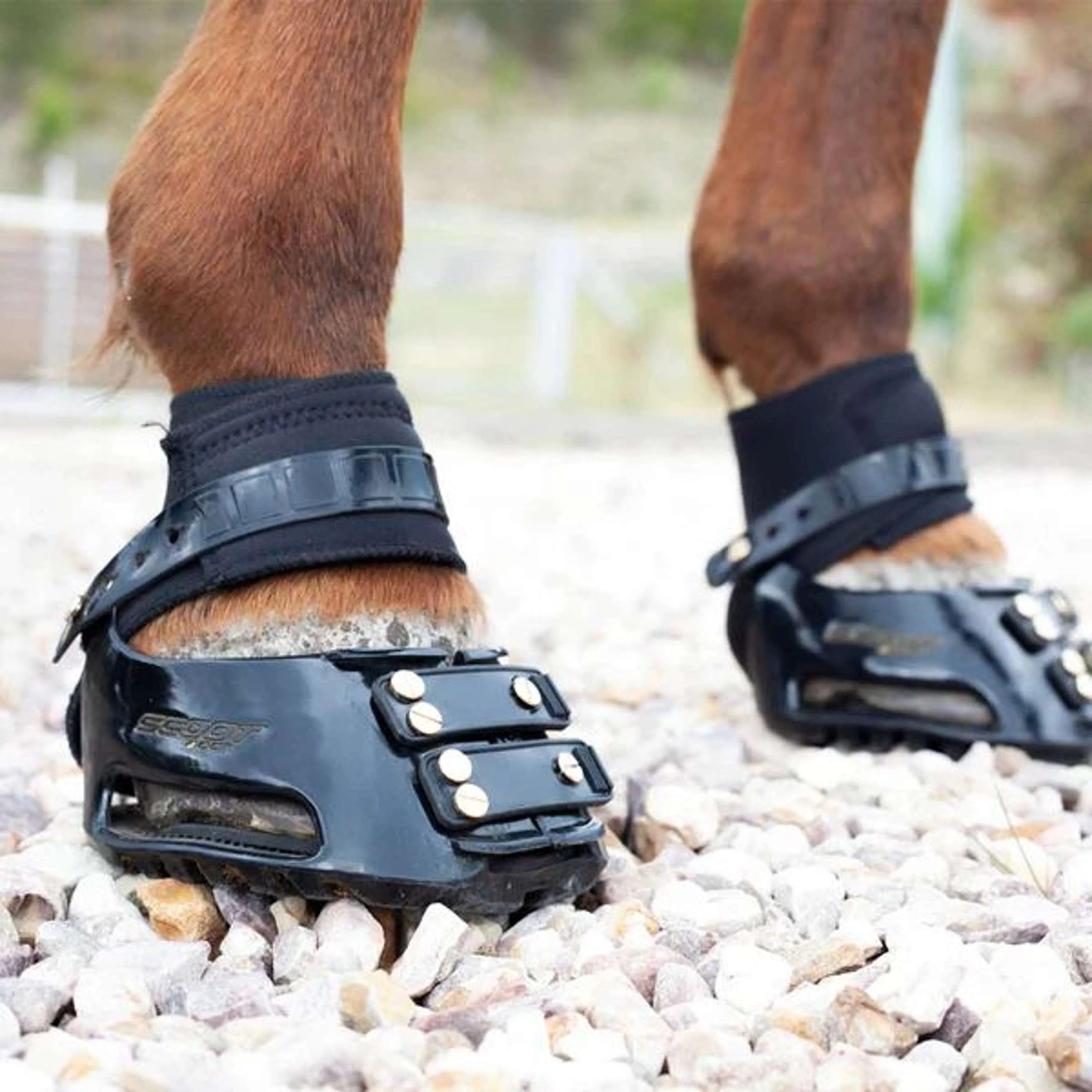 Scoot Boot Endurance Gaiter Schwarz - Image 4