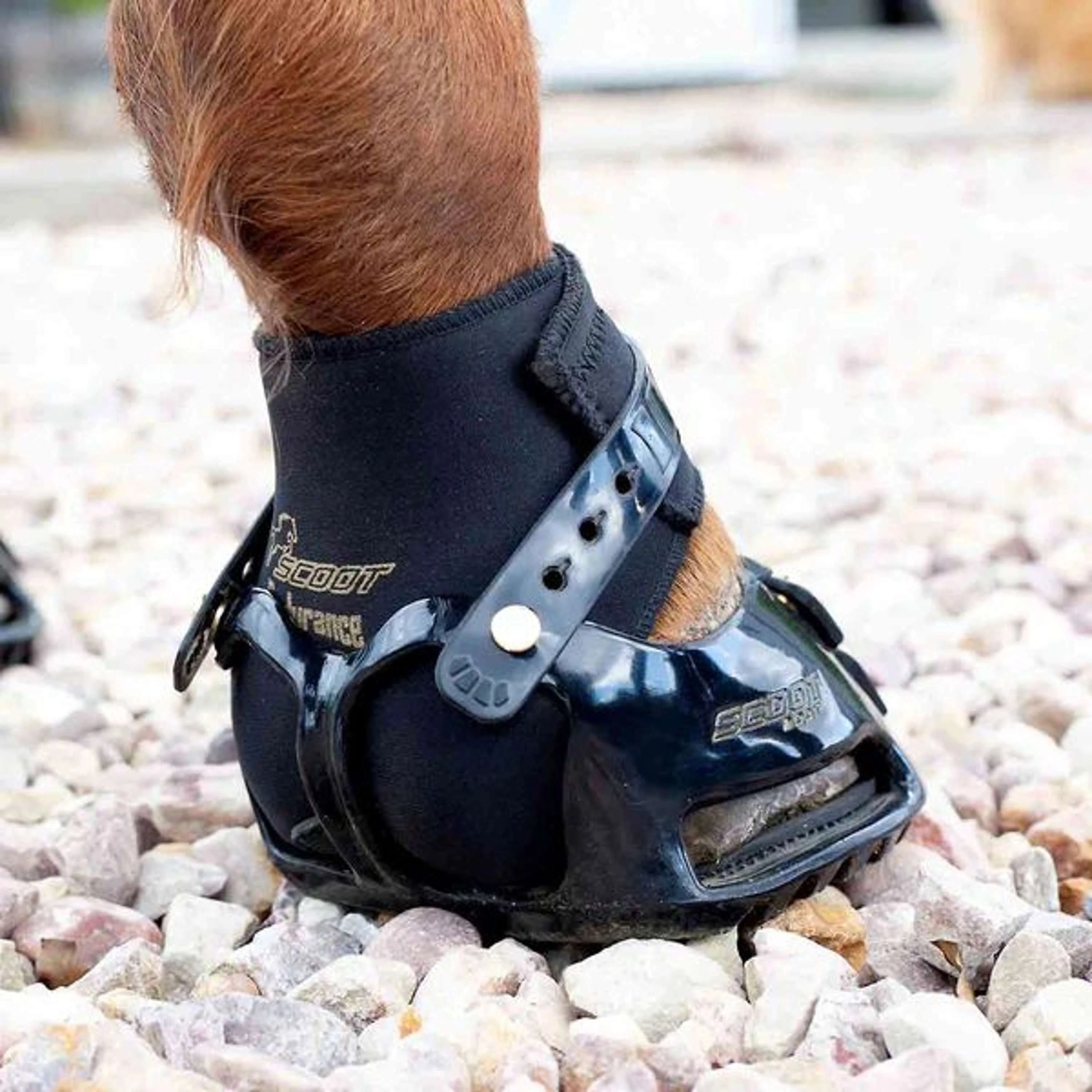 Scoot Boot Endurance Gaiter Schwarz - Image 5