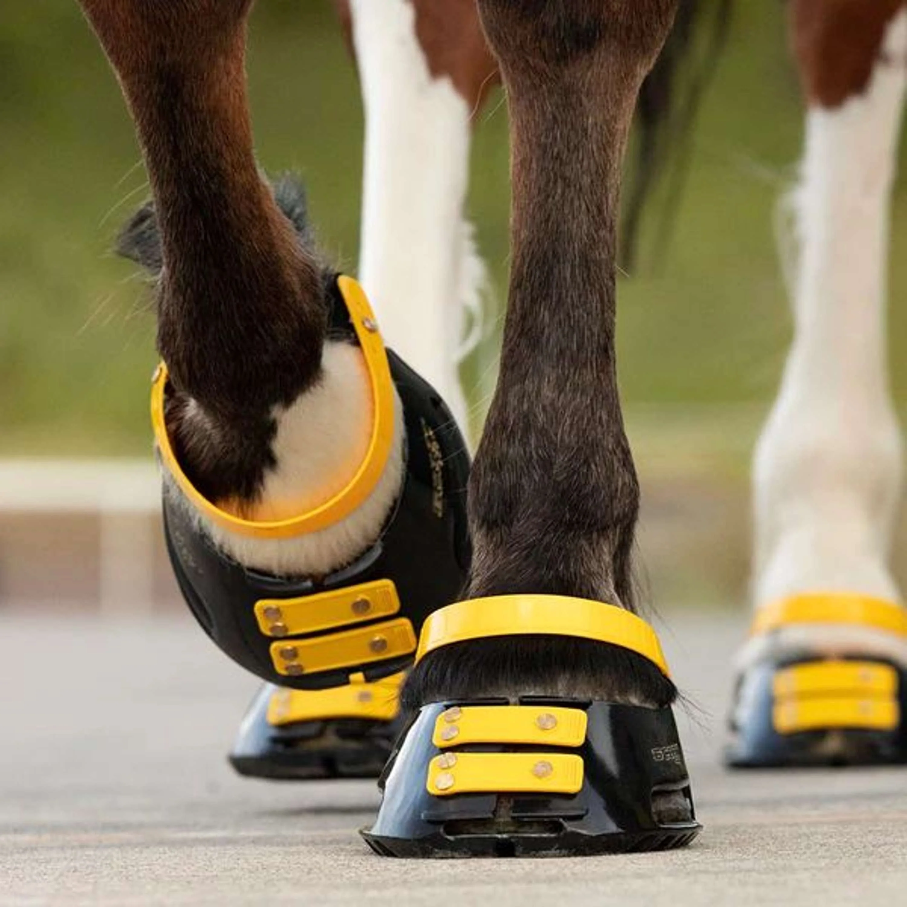 Scoot Boot Front Strap Marigold - Image 2