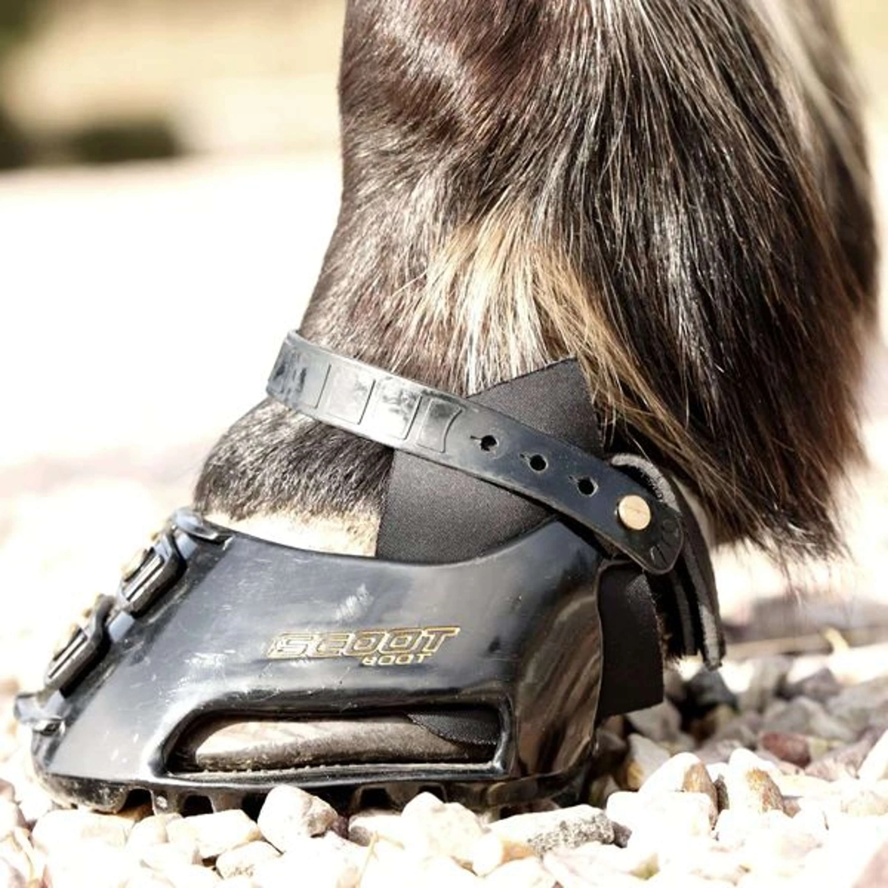 Scoot Boot Hybrid Gaiter Schwarz - Image 3