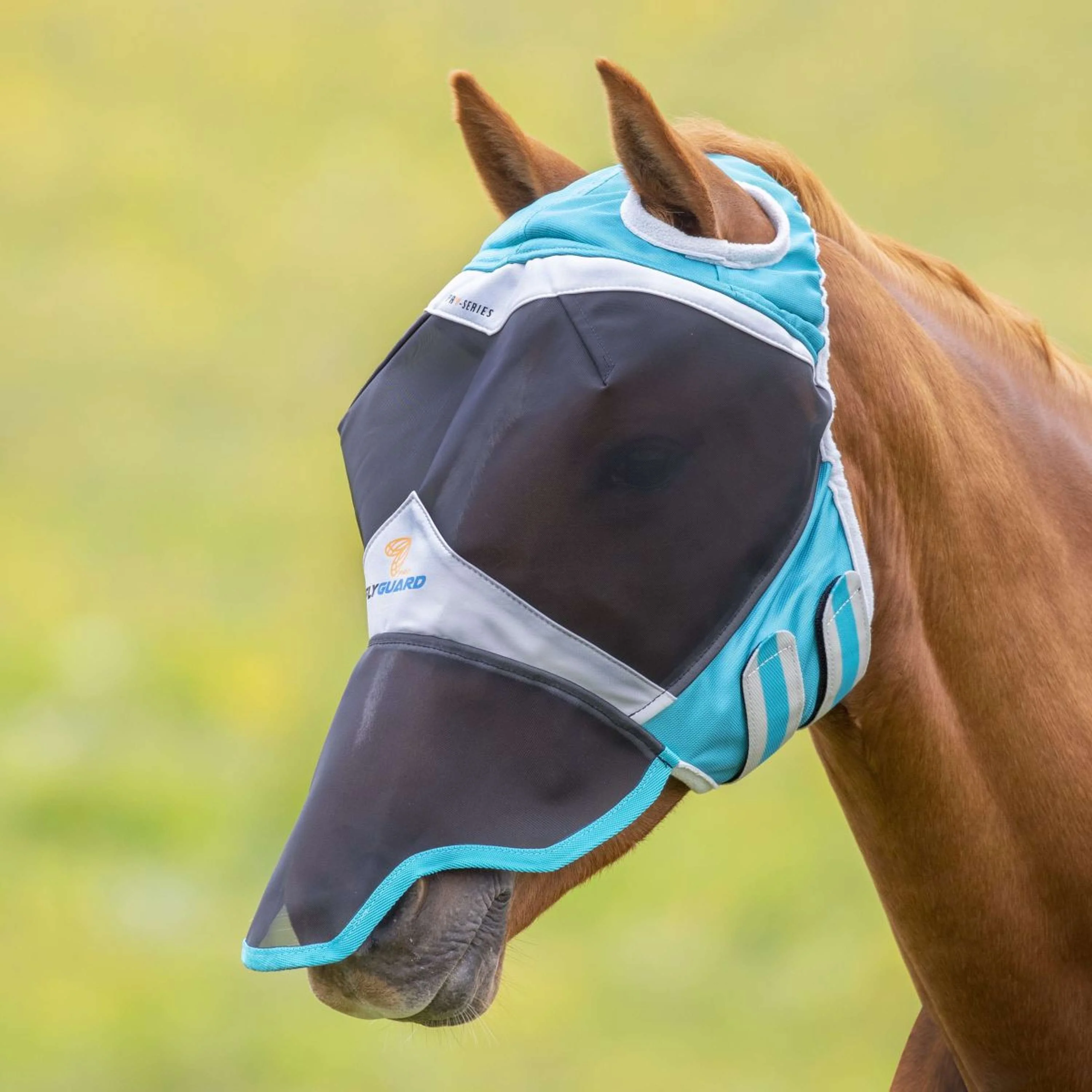 Shires Fliegenmaske mit Nase und Ohne Ohren Teal - Image 2