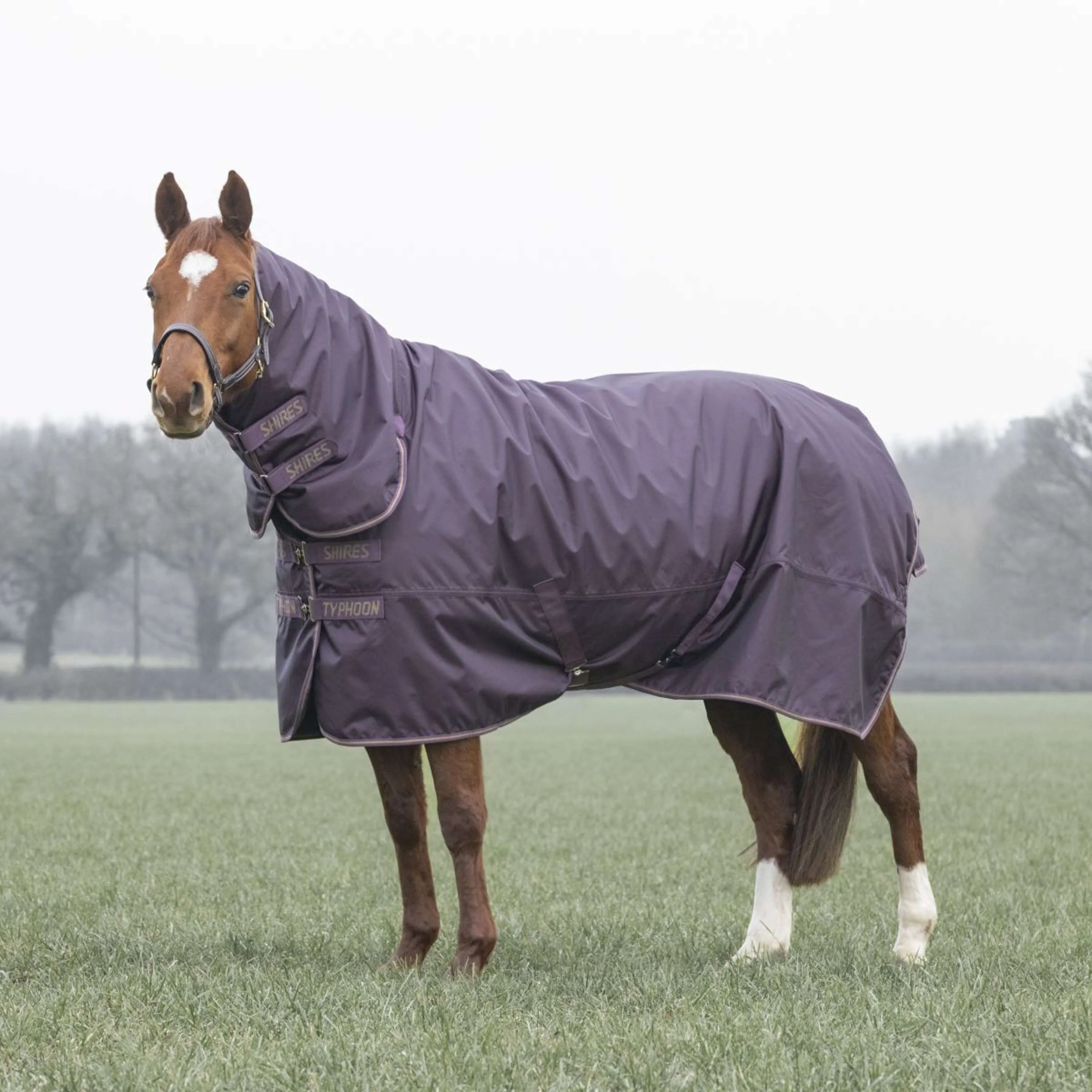 Tempest by Shires Winterdecke Turnout Typhoon 100g Black Cherry - Image 5