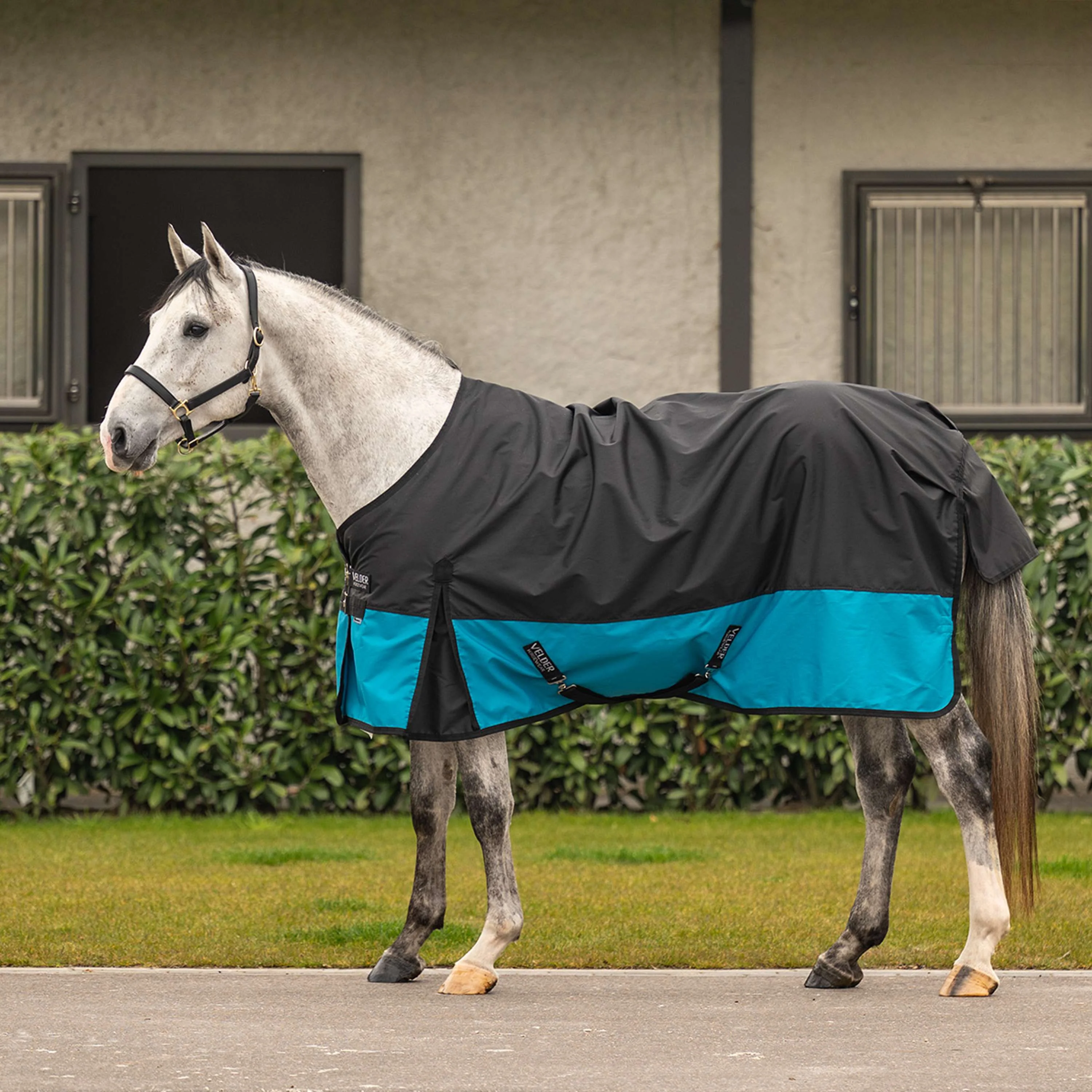 Velder Horsewear Classic Turnout Rug 600D 0g Schwarz