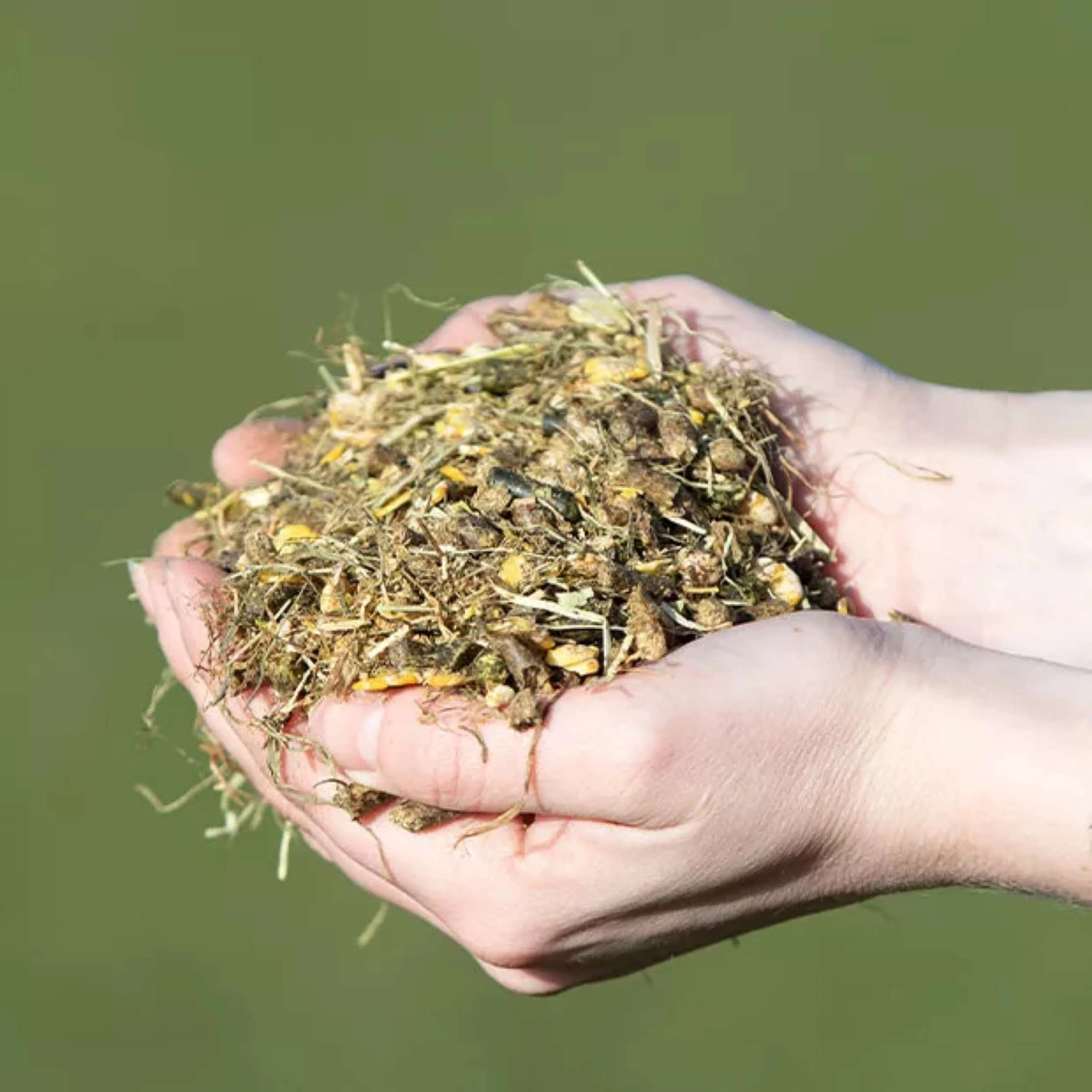 Vitalstyle Müsli Young & Breed - Image 3