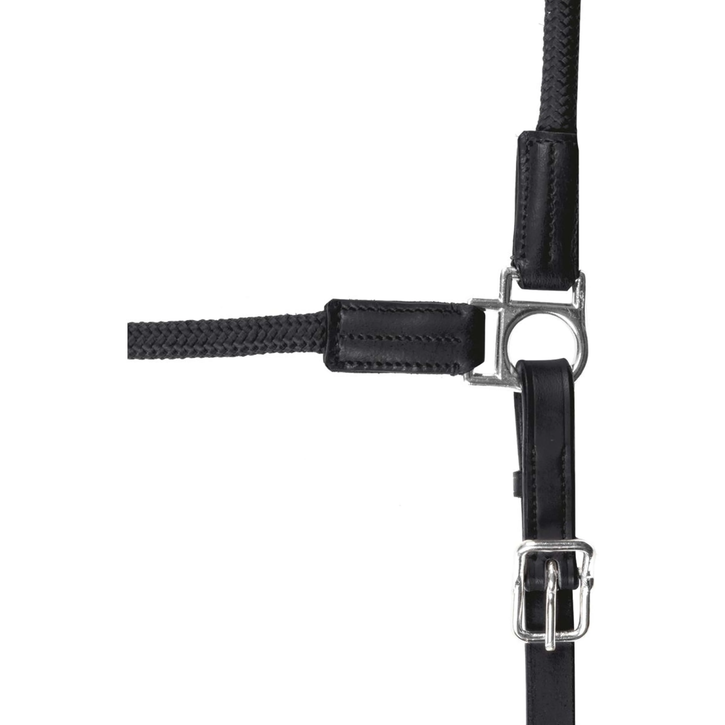 Waldhausen Halfter Nevada Schwarz/Silber - Image 2
