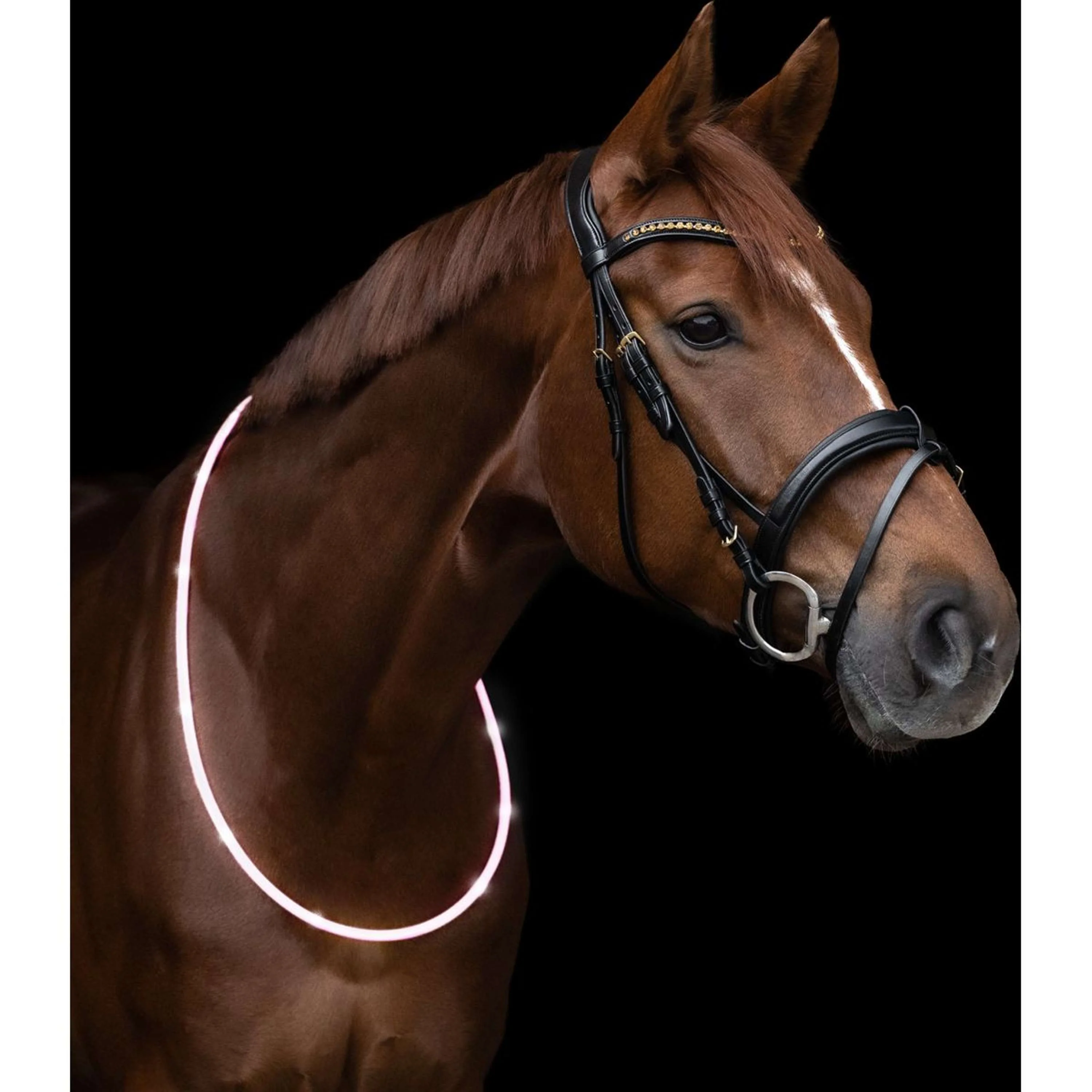 Waldhausen Halsring LED Weiß - Image 3