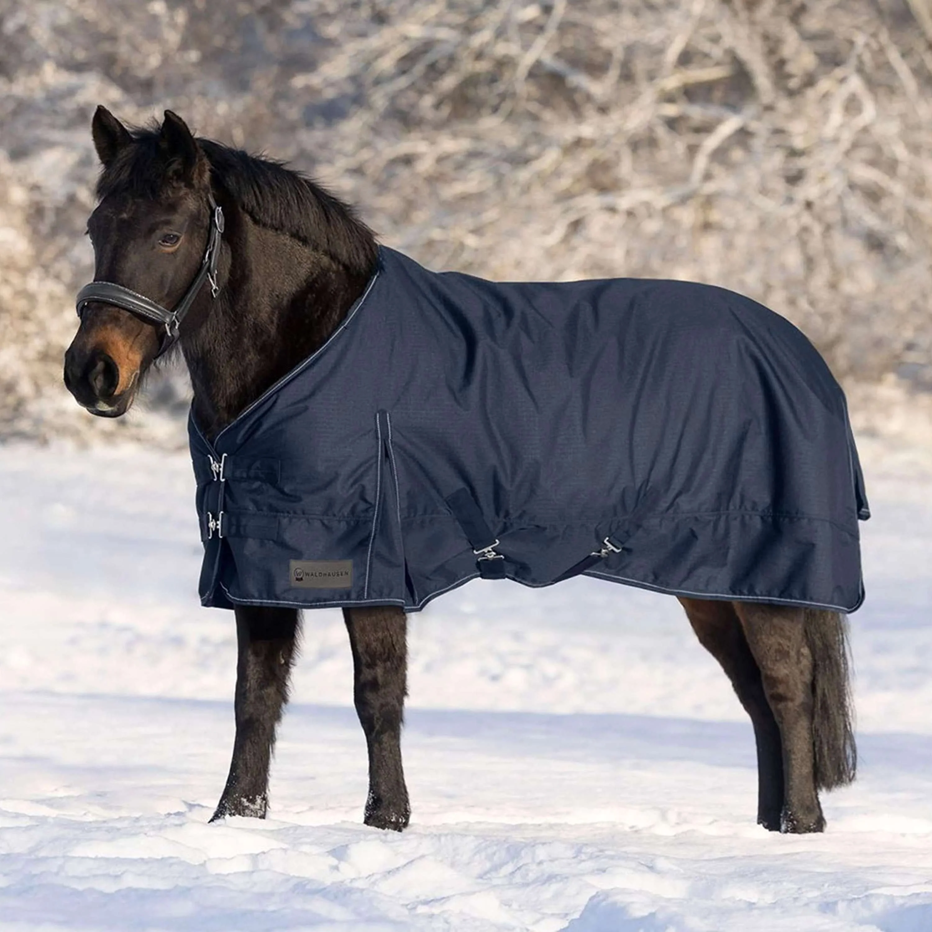 Waldhausen Outdoordecke Nordic 300g Nachtblau - Image 3
