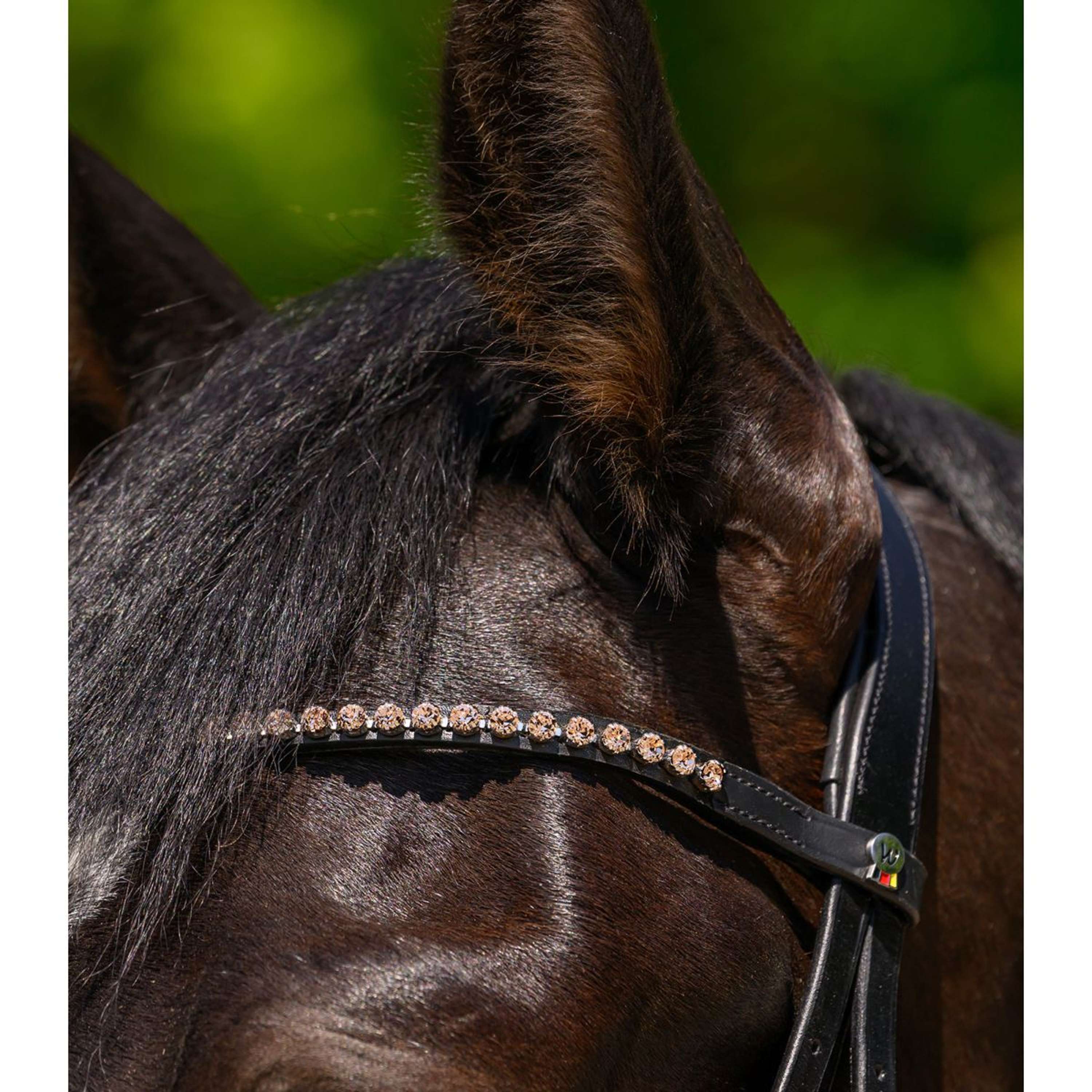 Waldhausen Stirnriemen X-Line Glam Schwarz Pfirsichfarben - Image 2