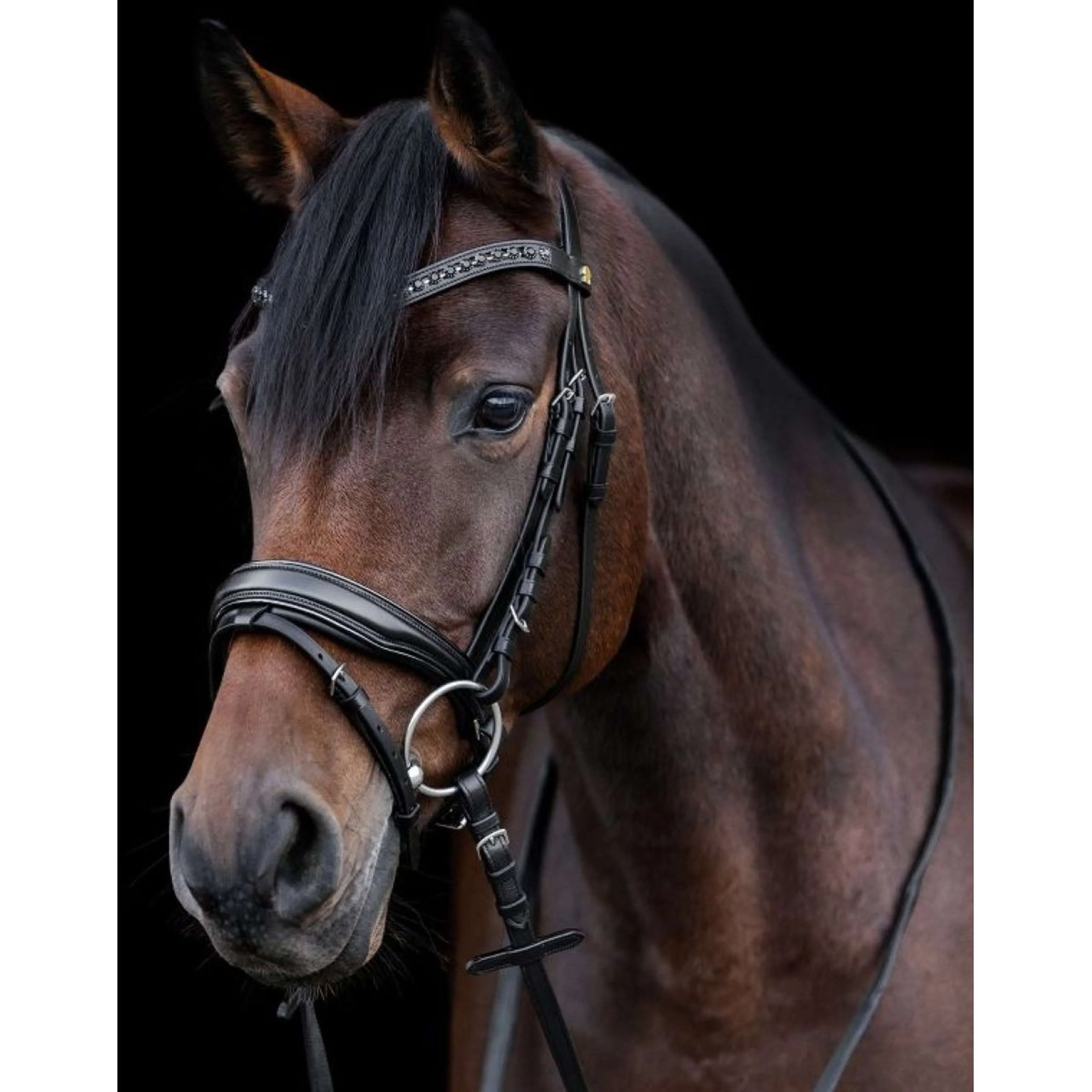 Waldhausen Zaum S-Line Blackshine Schwarz - Image 4
