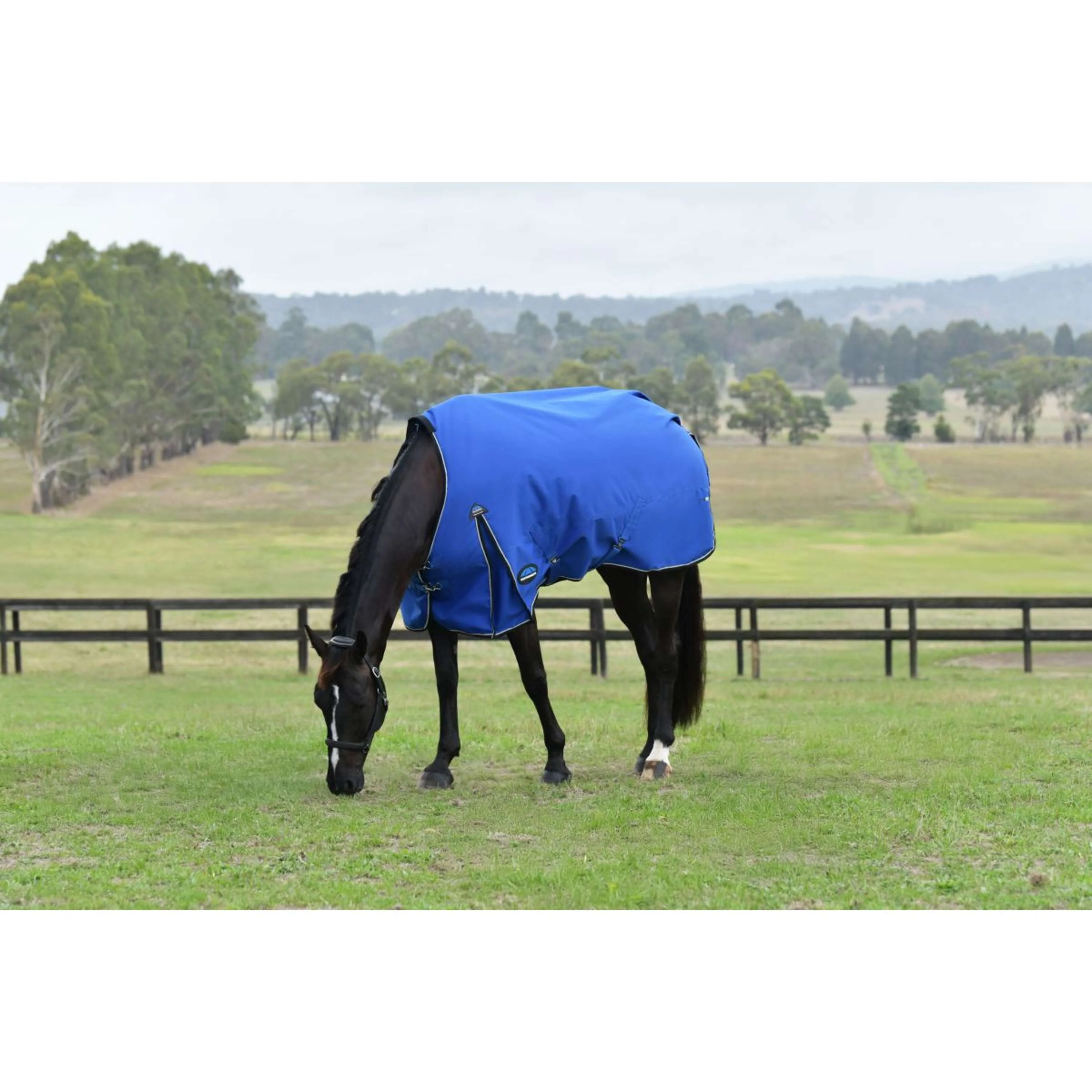 WeatherBeeta ComFiTec Essential Turnout 220g Kobalt/Schwarz - Image 2
